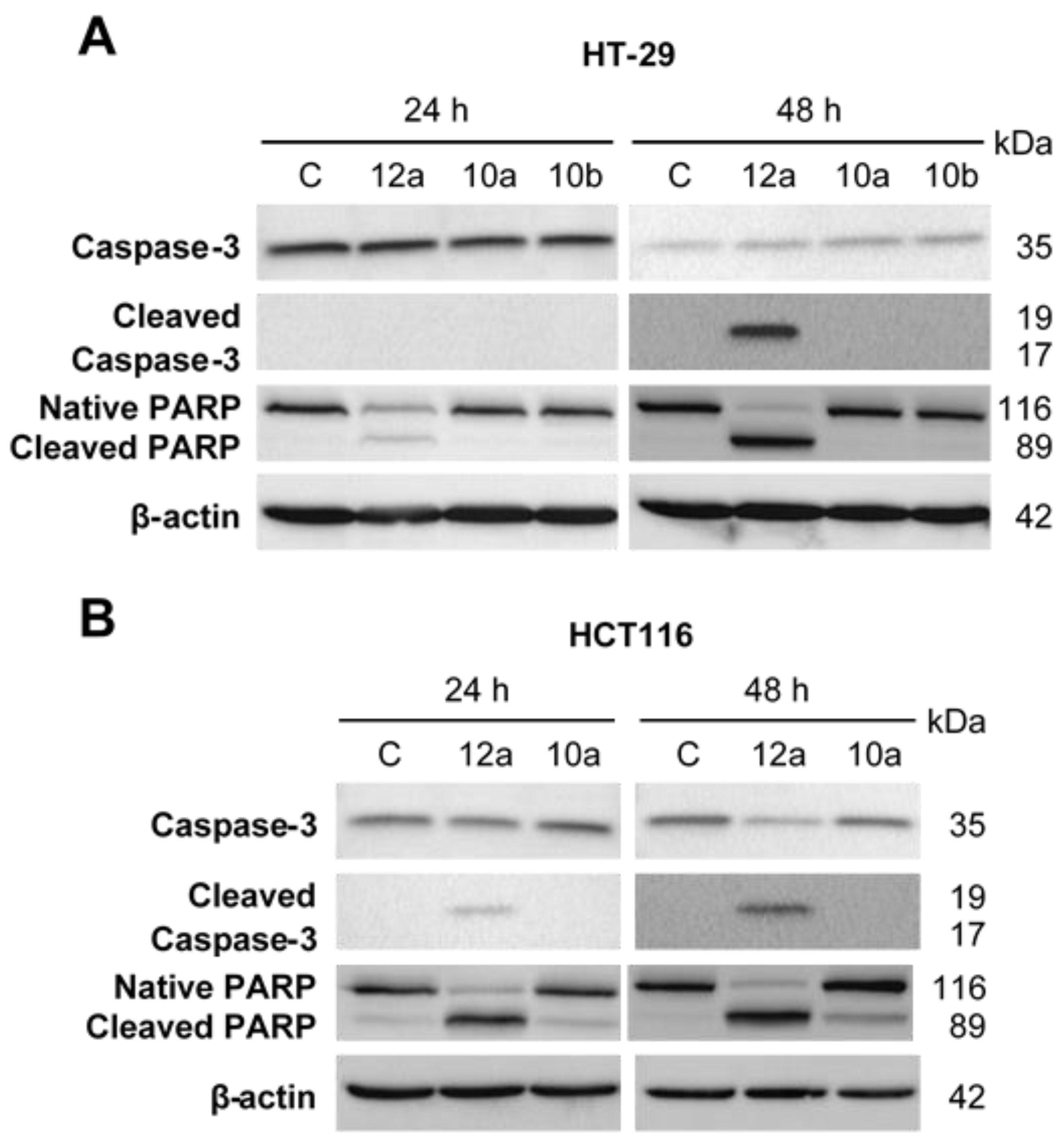 Biomolecules 13 00054 g006