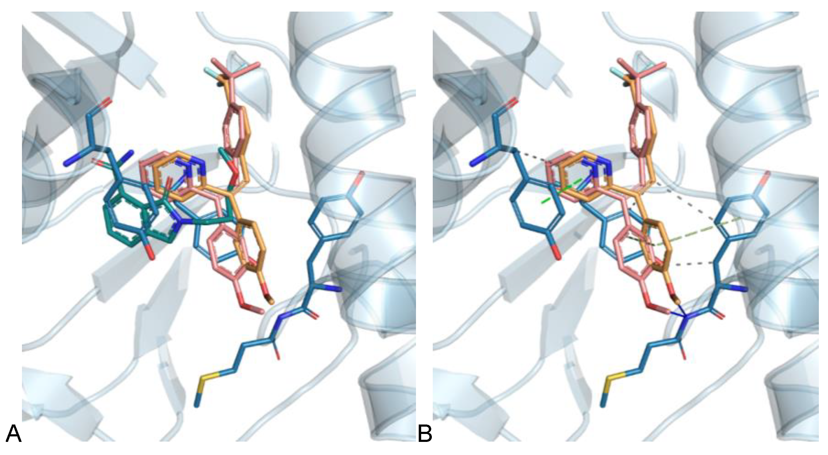 Biomolecules 13 00054 g012