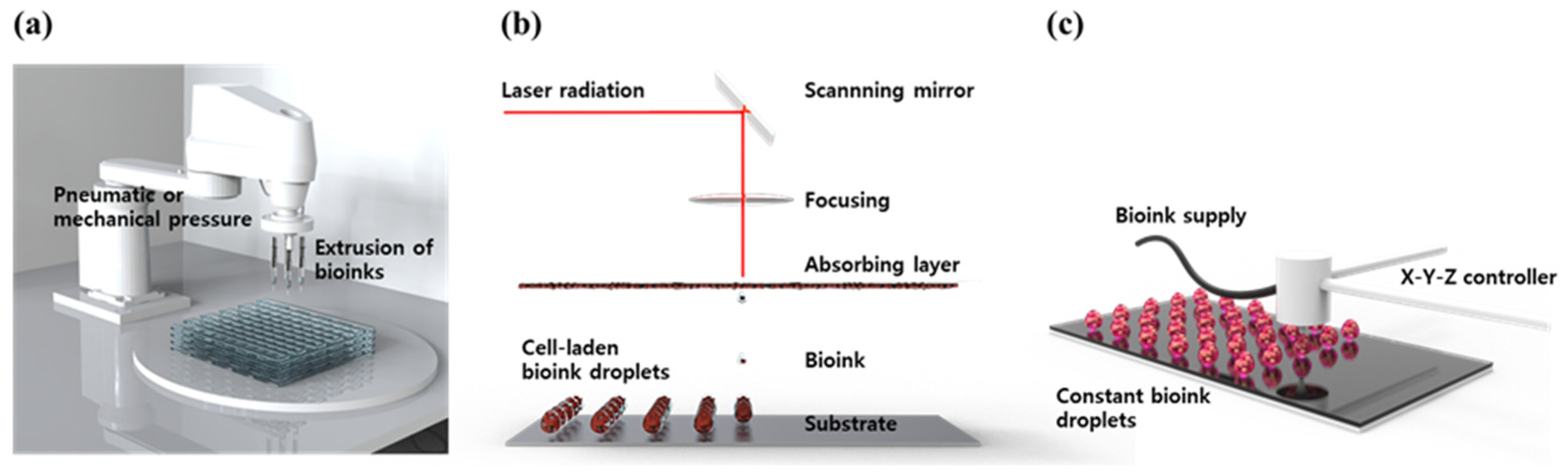 Biomolecules 13 00055 g003