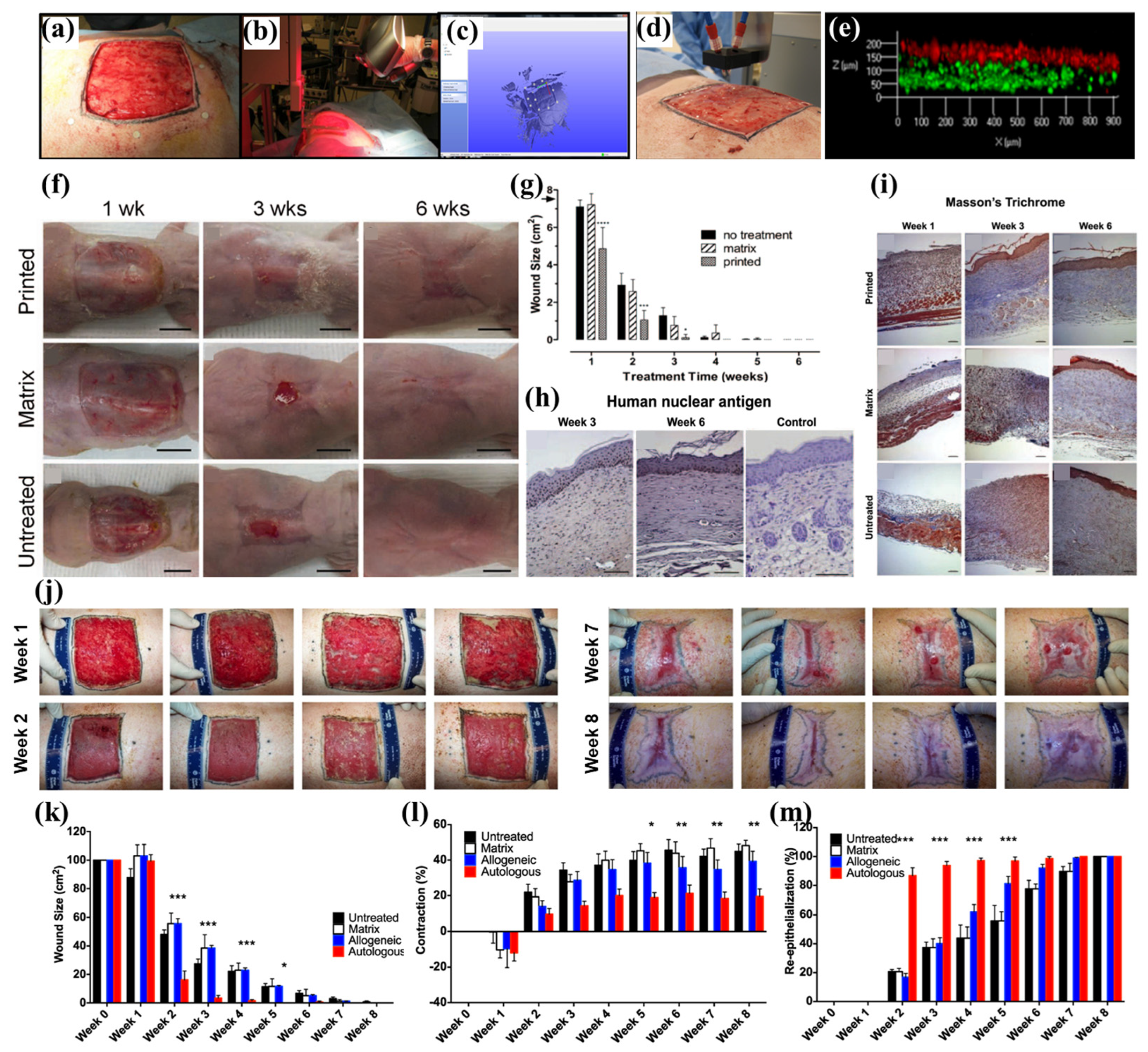 Biomolecules 13 00055 g006