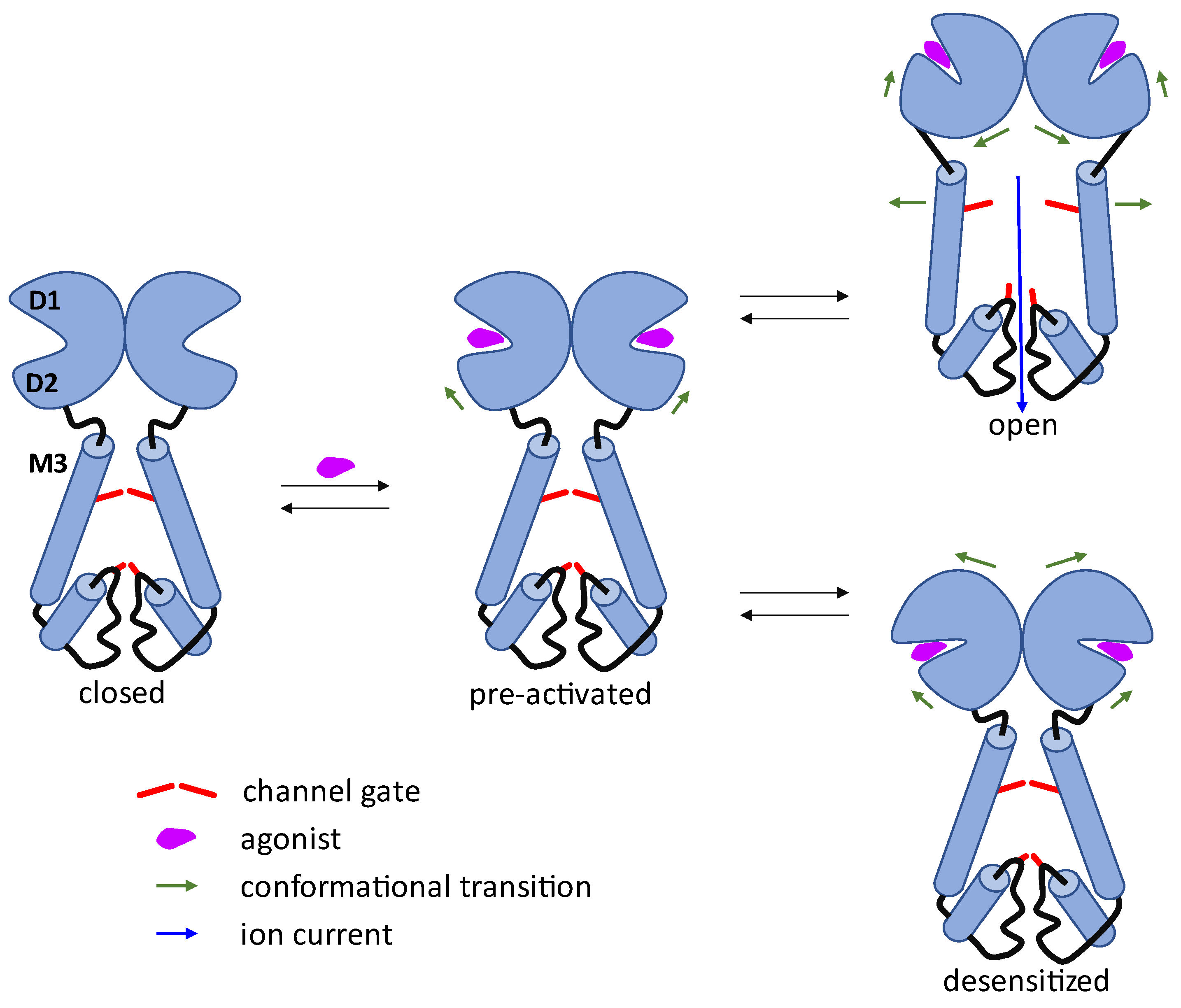 Biomolecules 13 00056 g002 Biomolecules 13 00056 g002