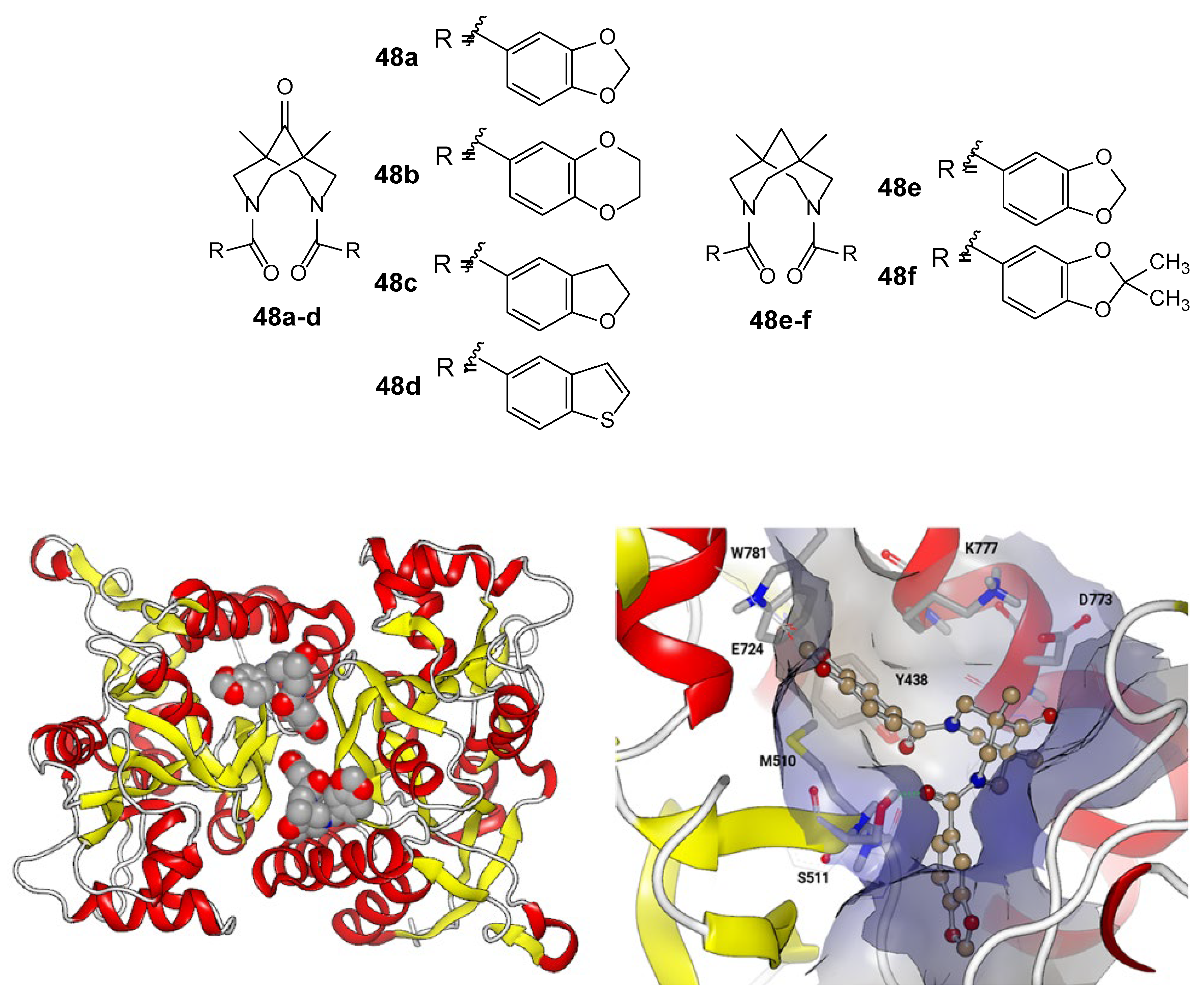 Biomolecules 13 00056 g008 Biomolecules 13 00056 g008
