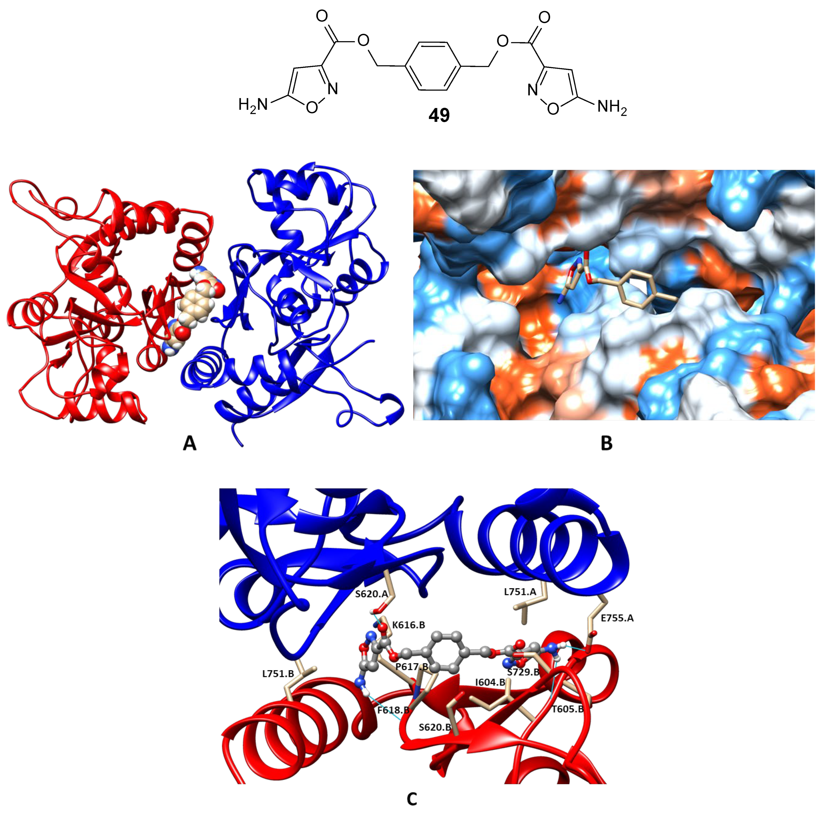 Biomolecules 13 00056 g009 Biomolecules 13 00056 g009