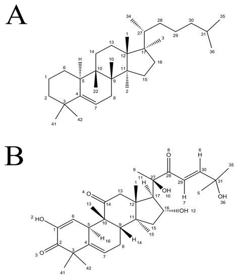 m Cucurbitacins as Potent Chemo-Preventive Agents: Mechanistic