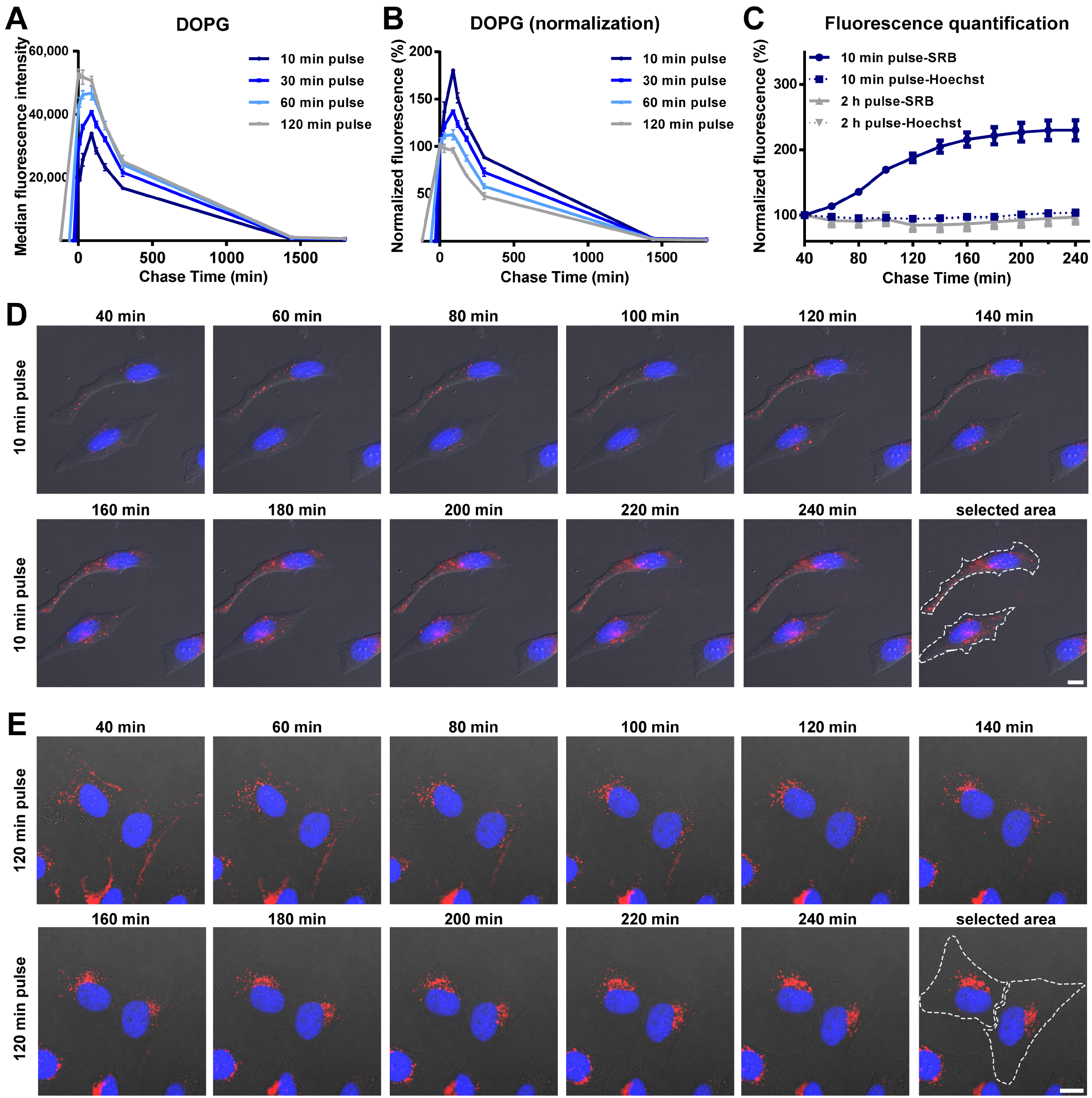 Biomolecules 13 00059 g002 Biomolecules 13 00059 g002