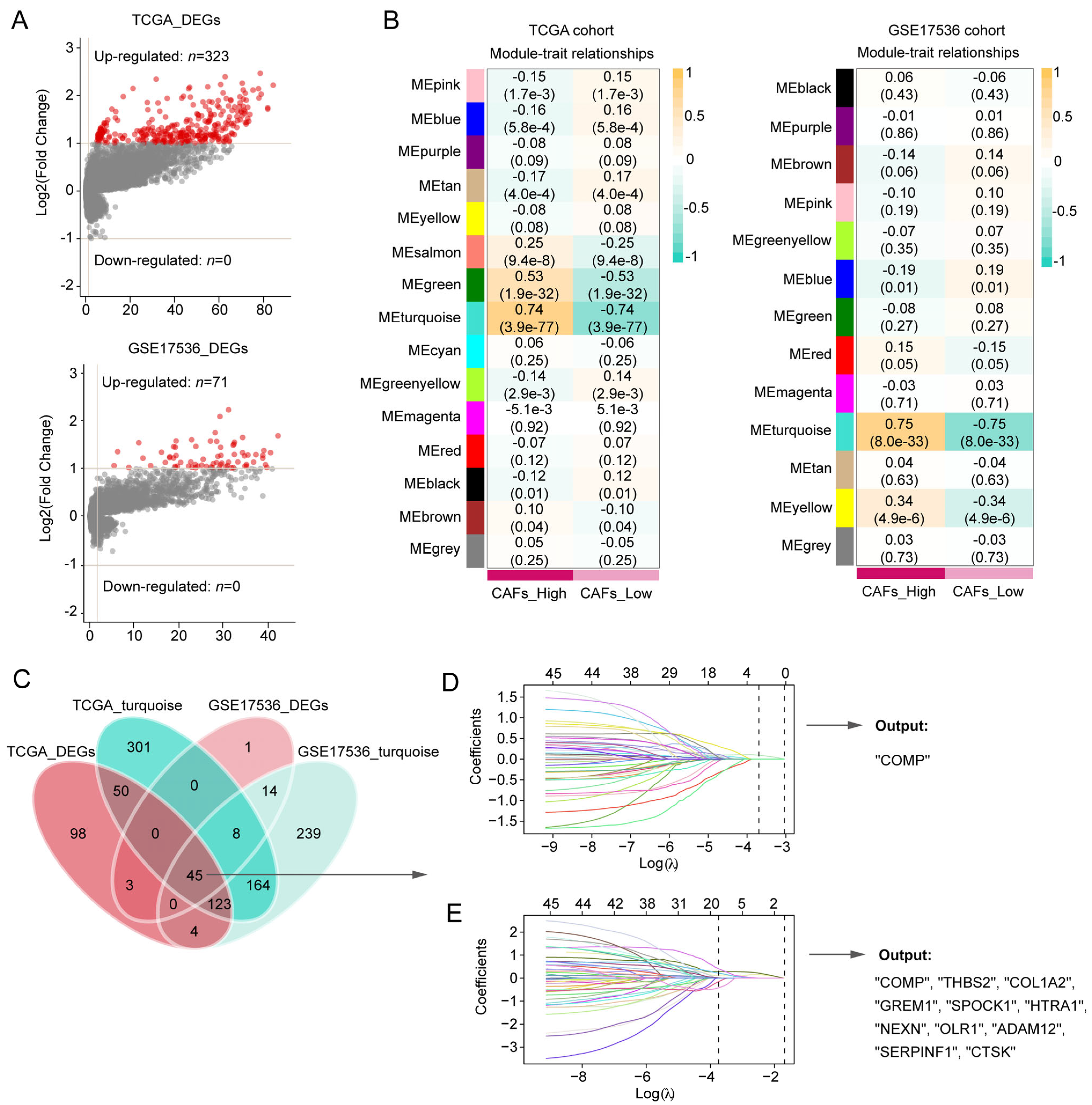 Biomolecules 13 00062 g002 Biomolecules 13 00062 g002