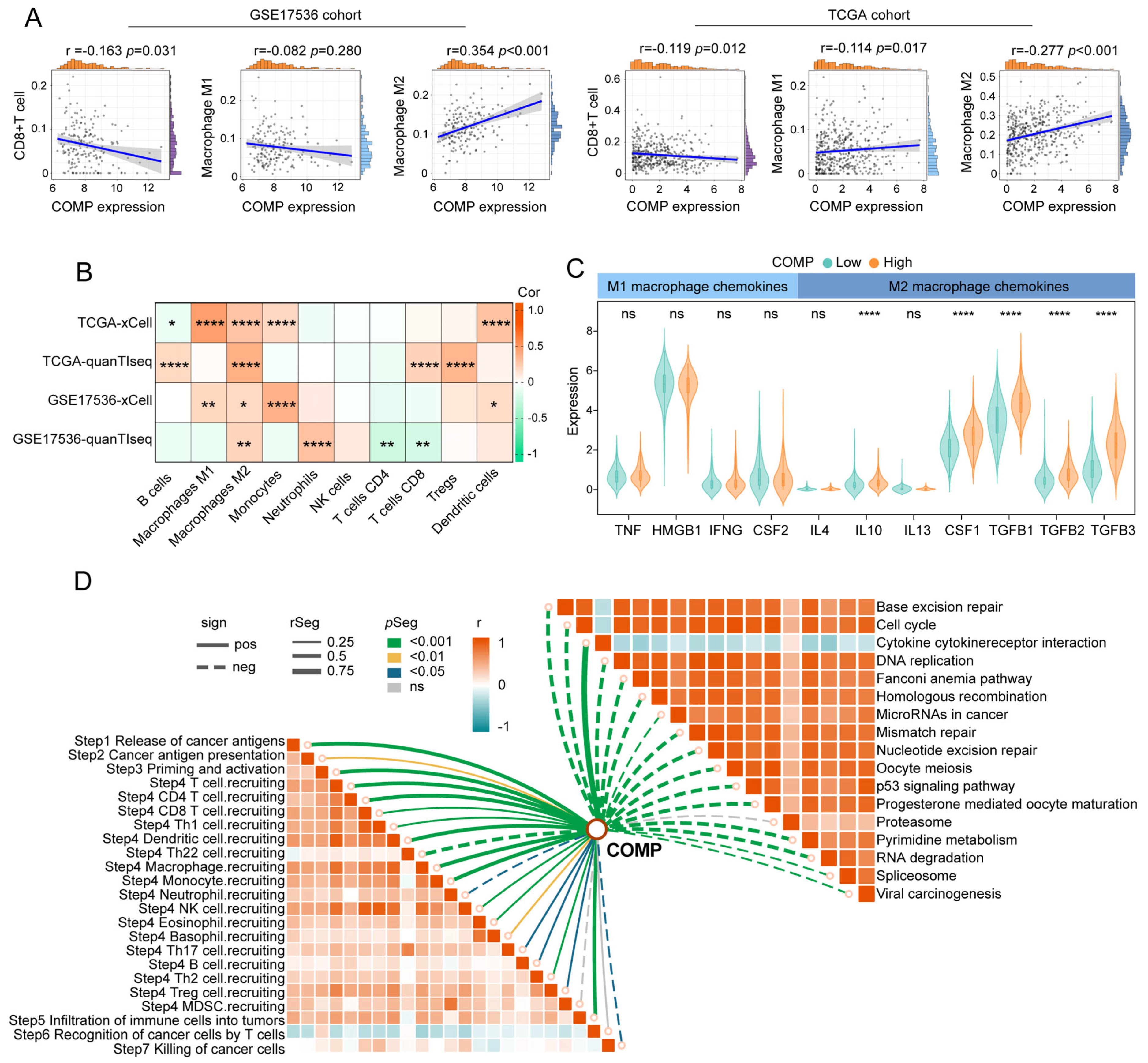 Biomolecules 13 00062 g004 Biomolecules 13 00062 g004