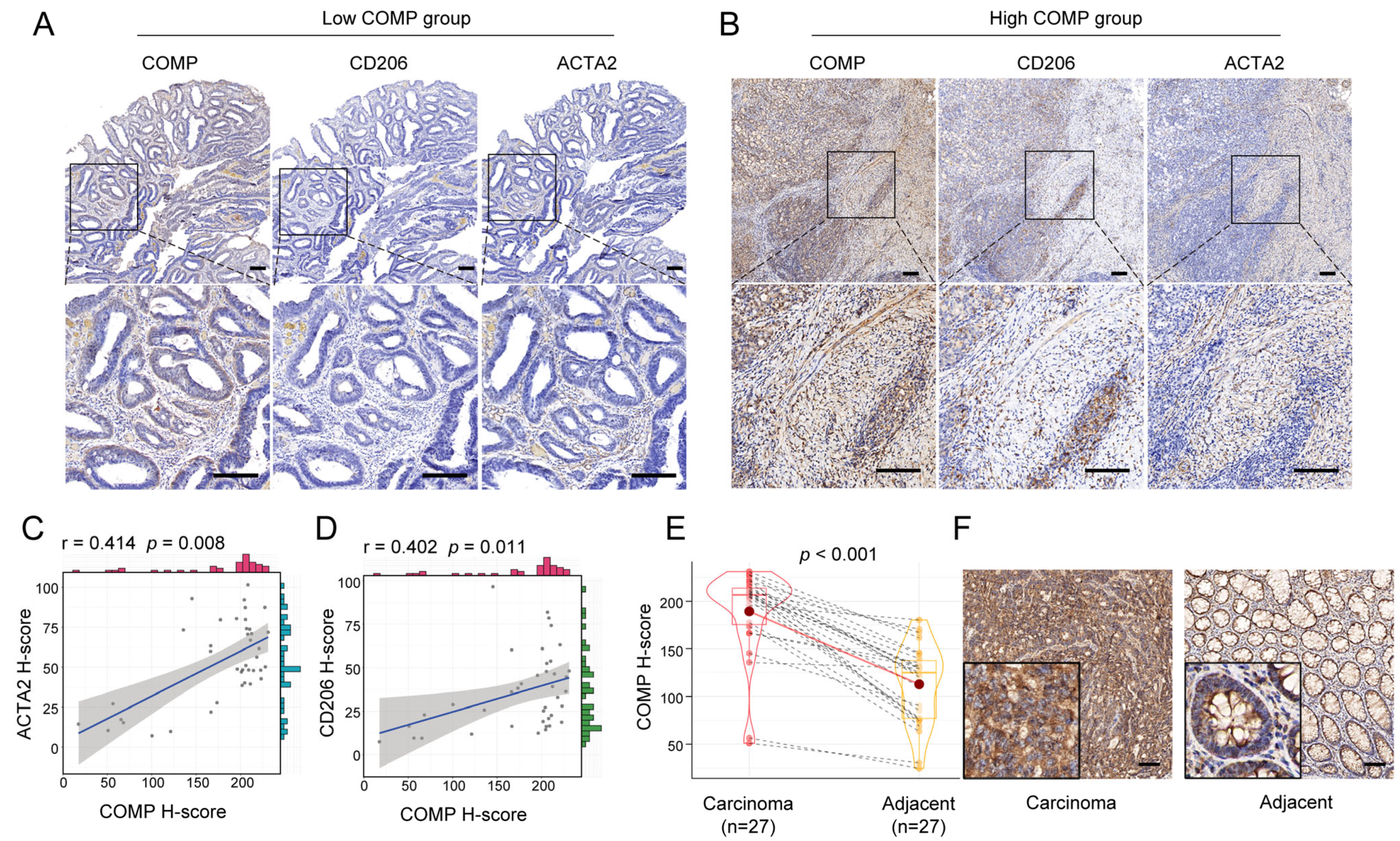 Biomolecules 13 00062 g008 Biomolecules 13 00062 g008