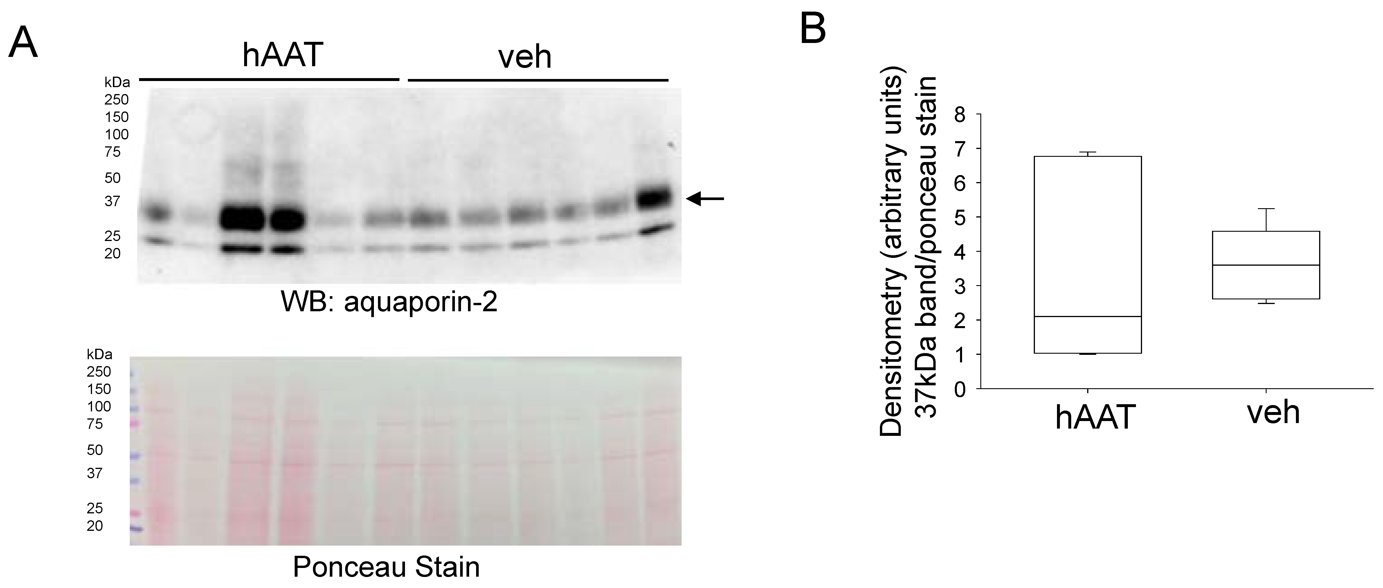 Biomolecules 13 00066 g007 Biomolecules 13 00066 g007
