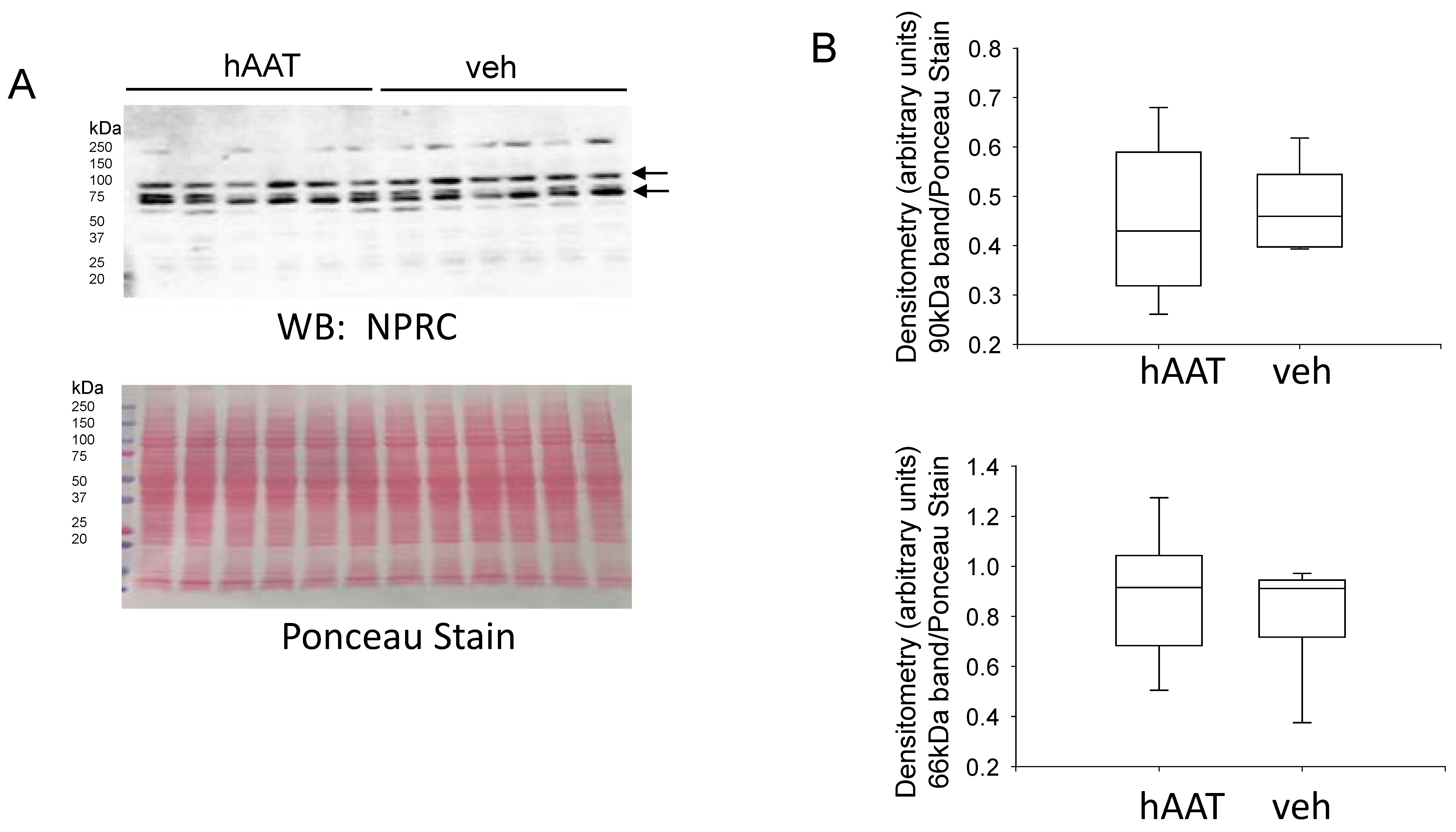 Biomolecules 13 00066 g008 Biomolecules 13 00066 g008