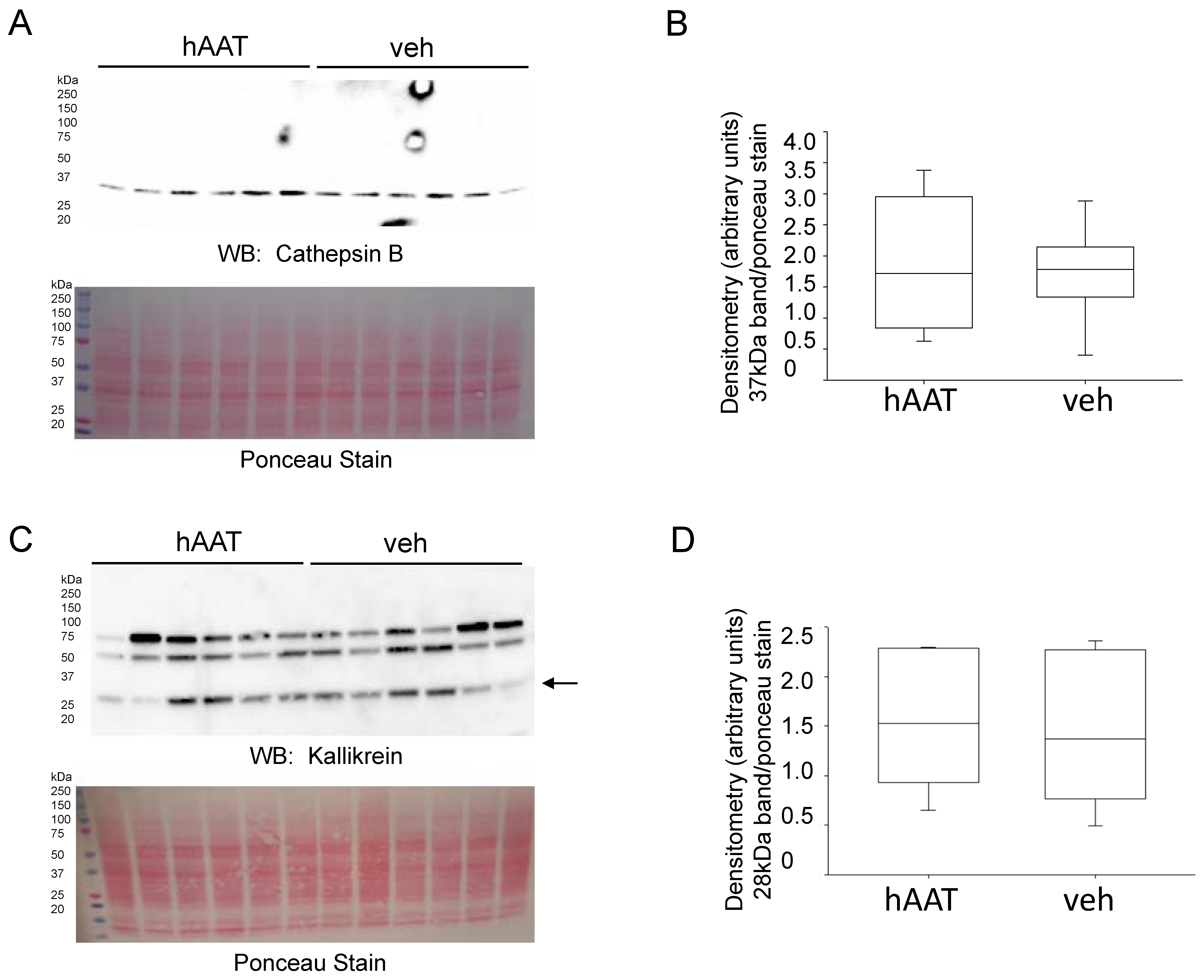 Biomolecules 13 00066 g009 Biomolecules 13 00066 g009