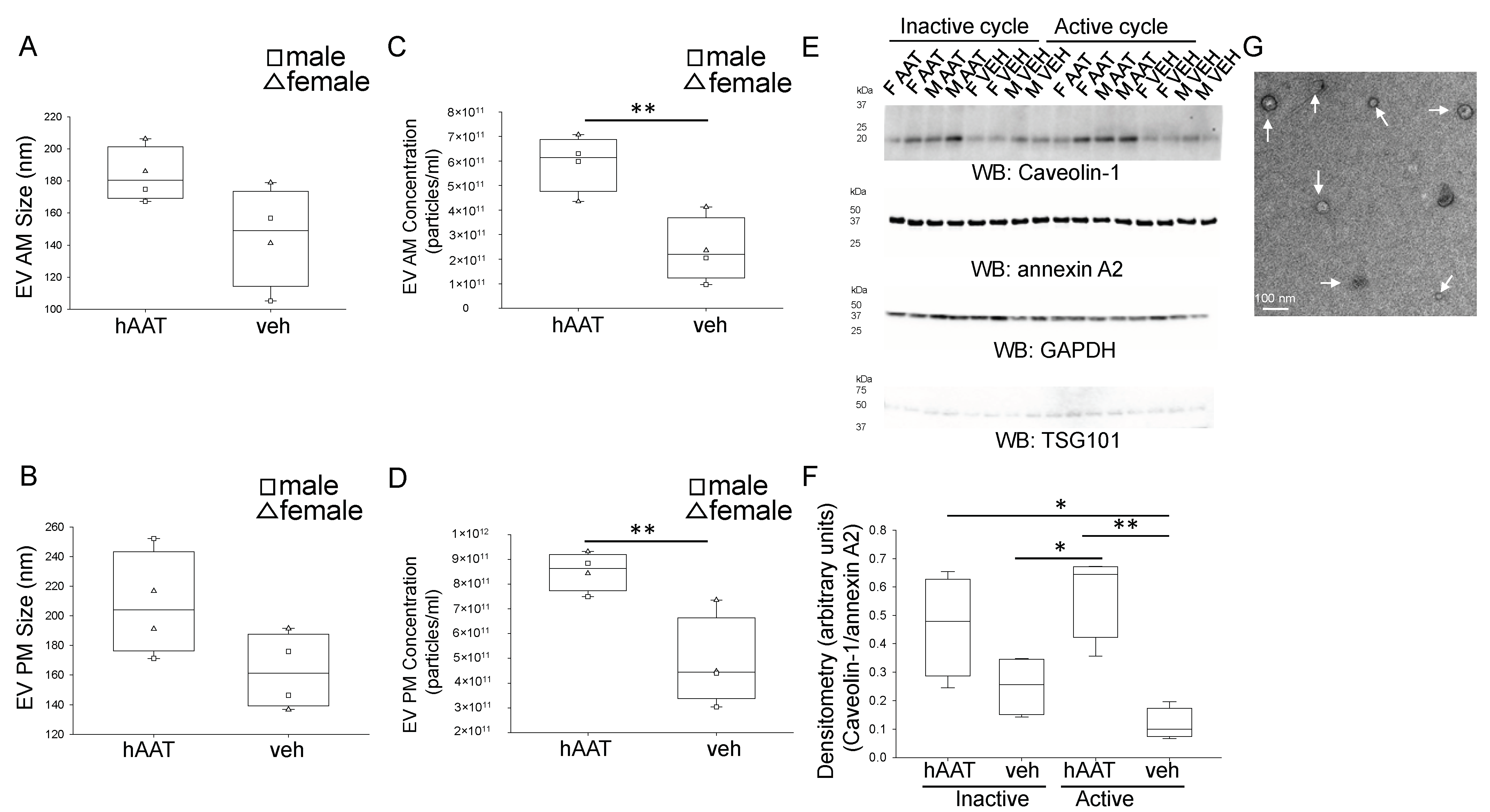Biomolecules 13 00066 g010 Biomolecules 13 00066 g010