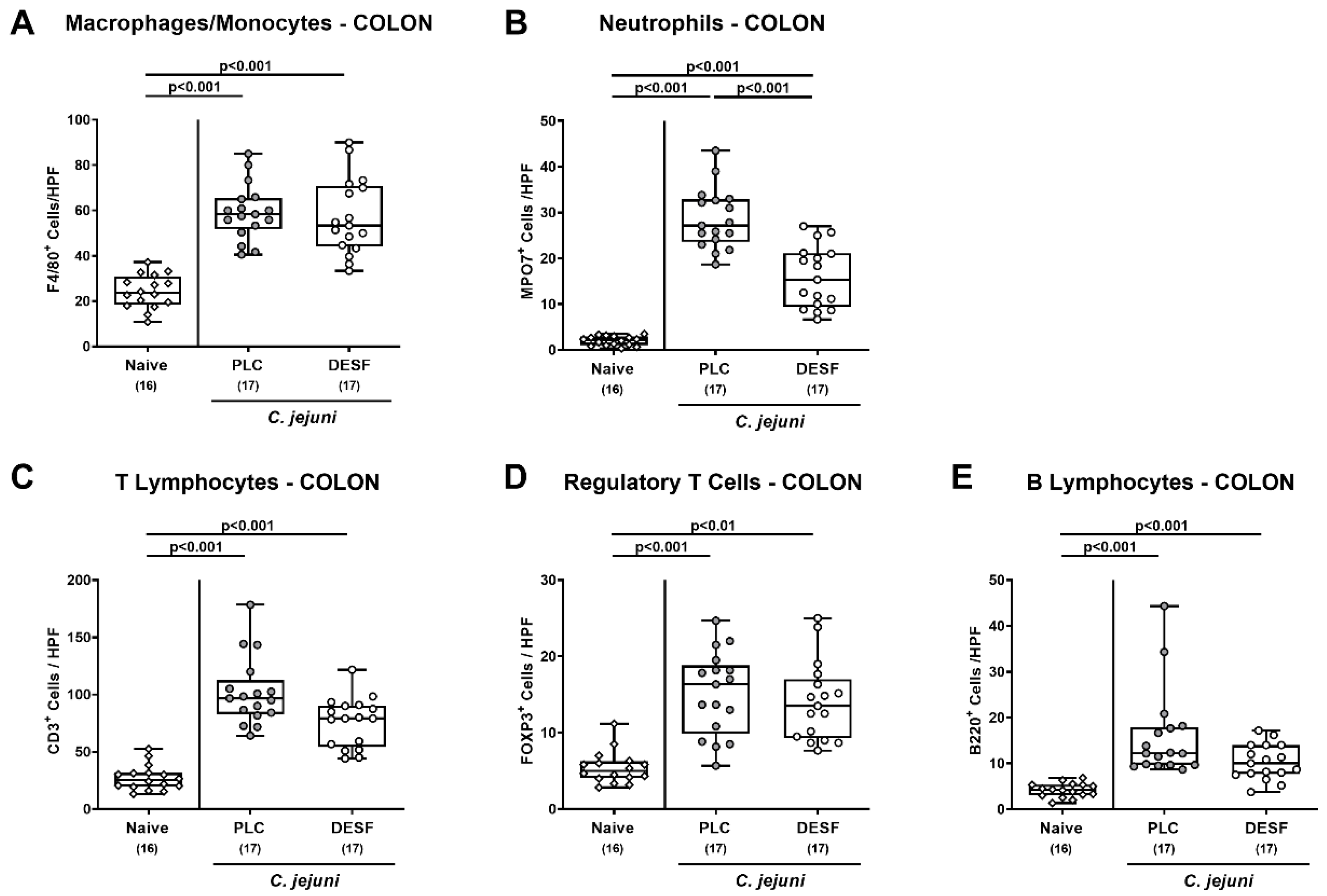 Biomolecules 13 00071 g004