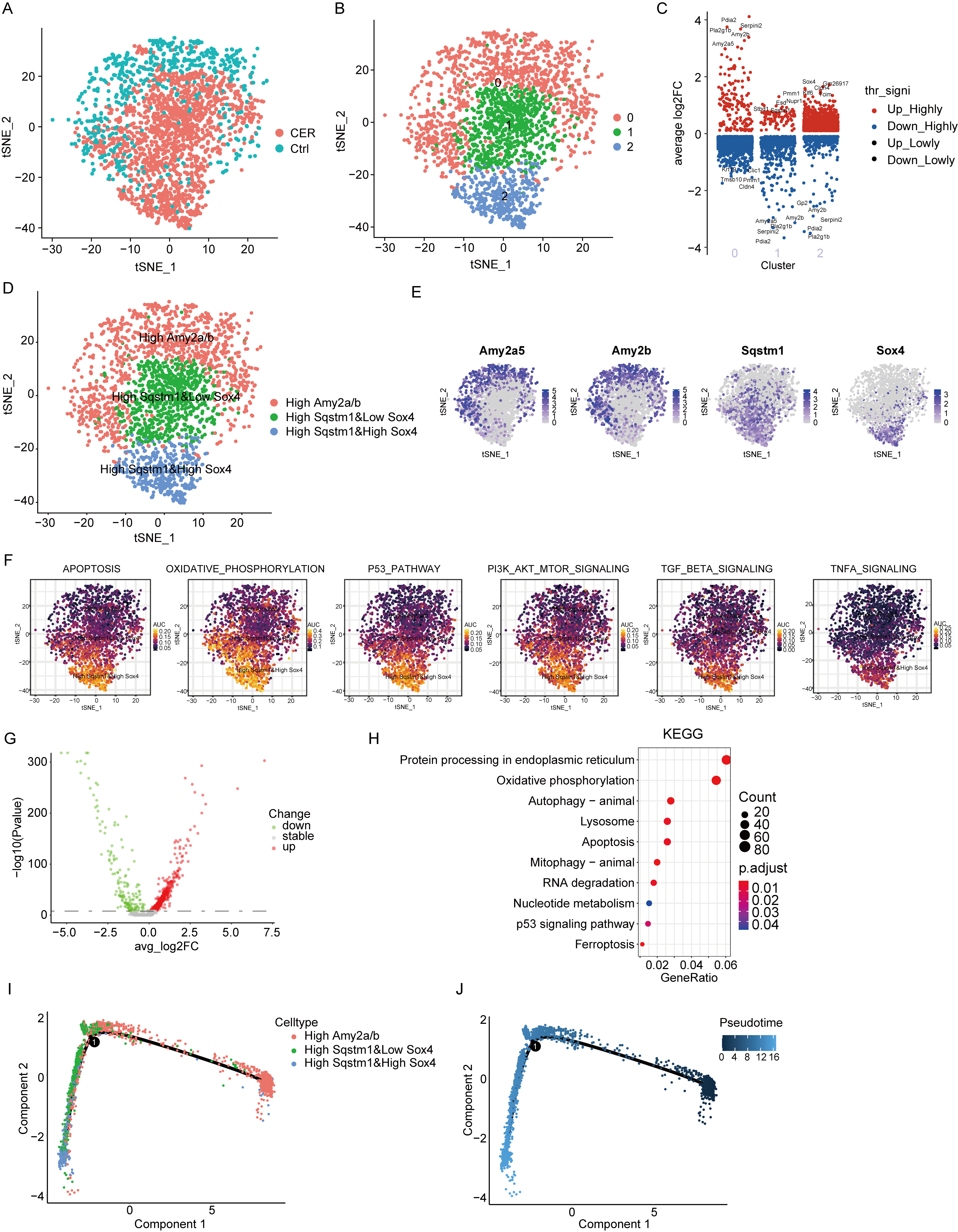Biomolecules 13 00078 g002 Biomolecules 13 00078 g002