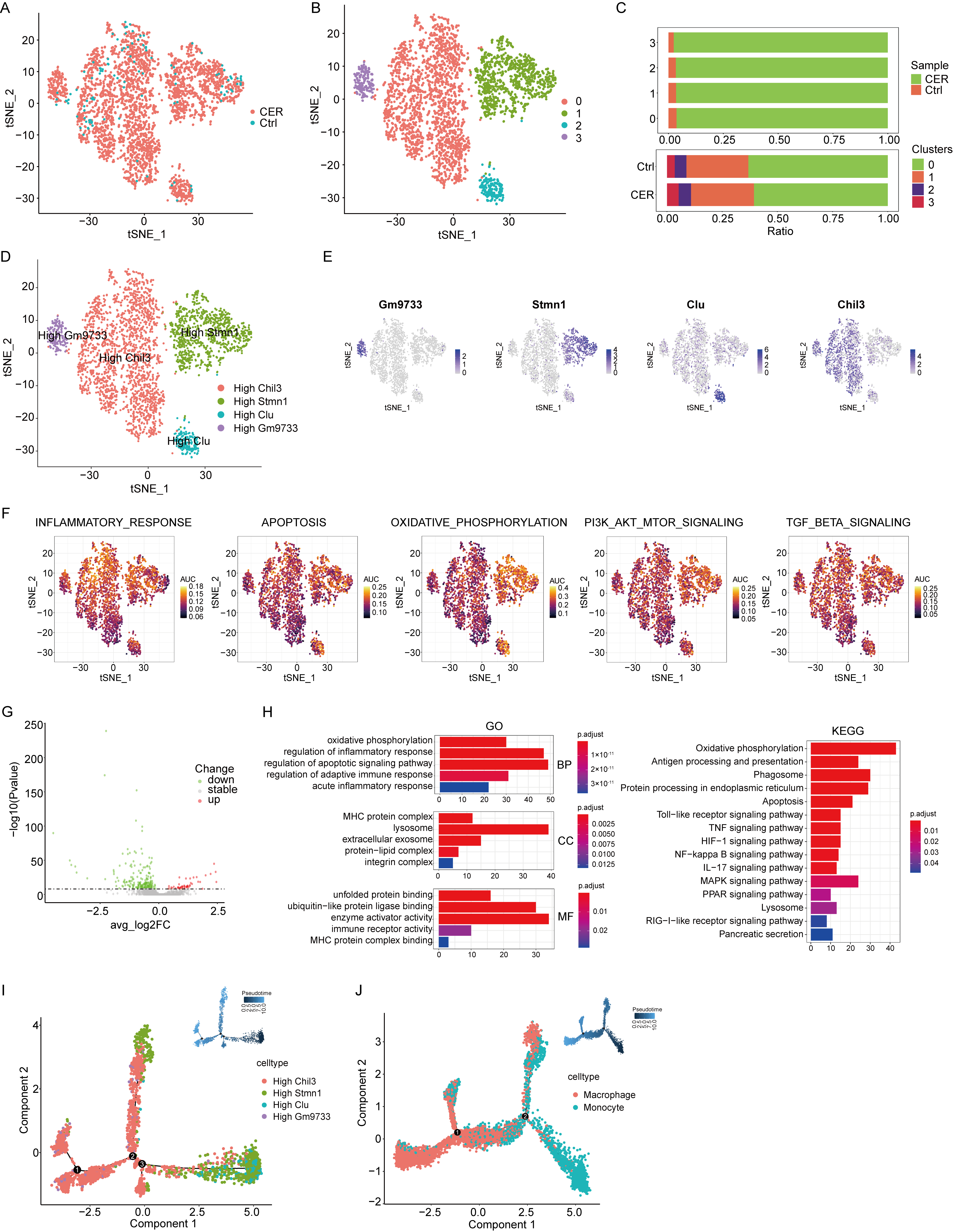 Biomolecules 13 00078 g003 Biomolecules 13 00078 g003