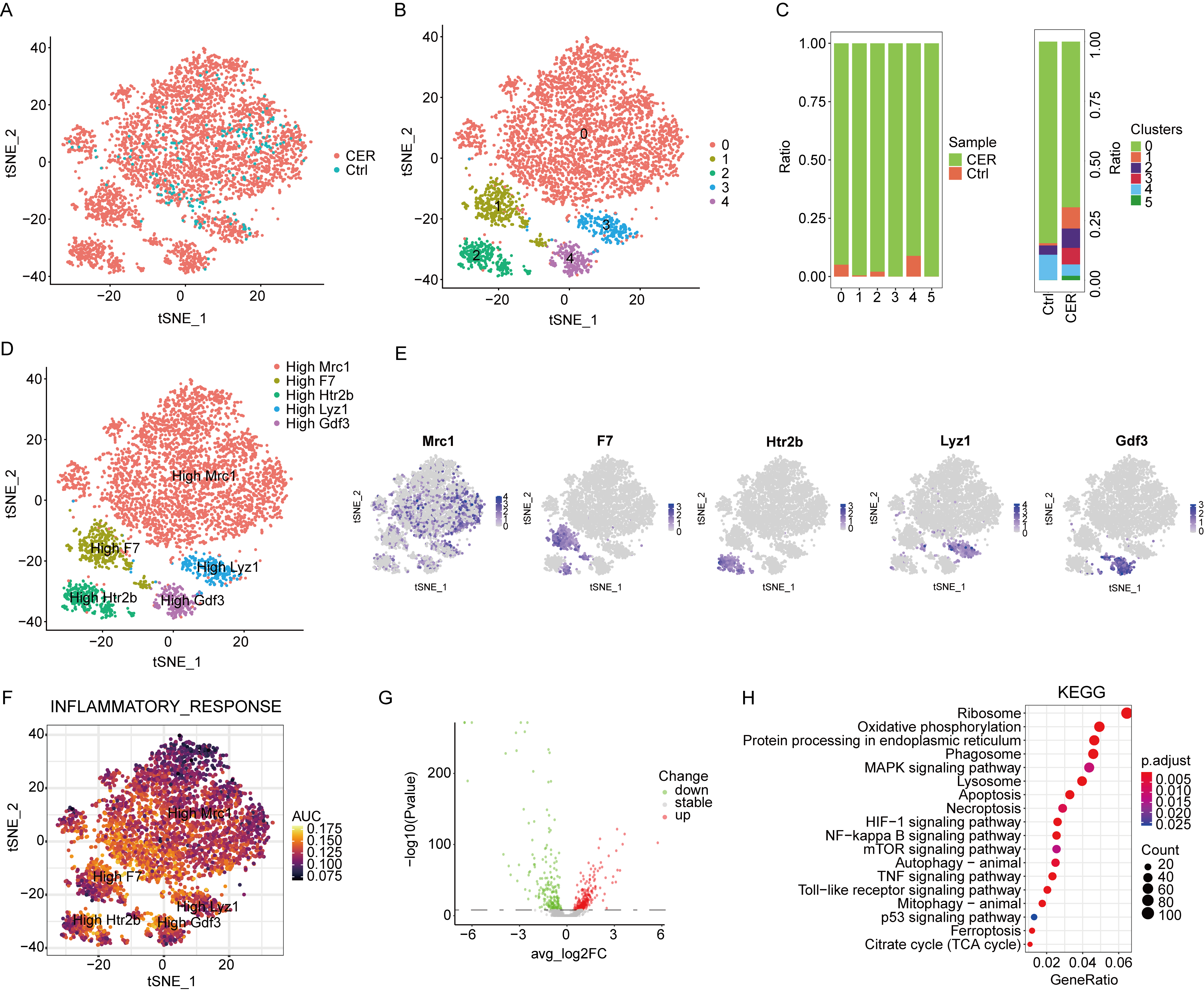 Biomolecules 13 00078 g004 Biomolecules 13 00078 g004
