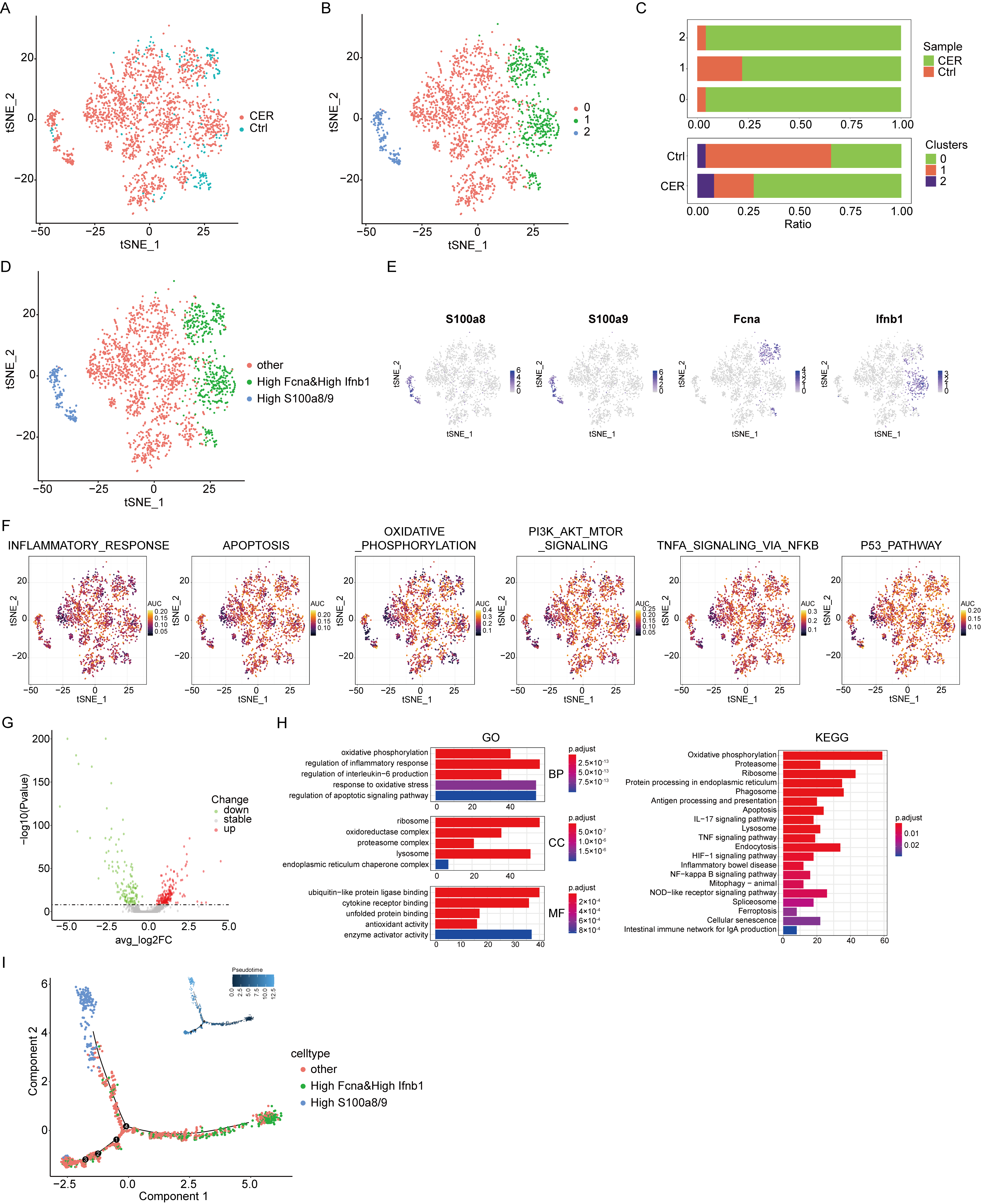 Biomolecules 13 00078 g005 Biomolecules 13 00078 g005