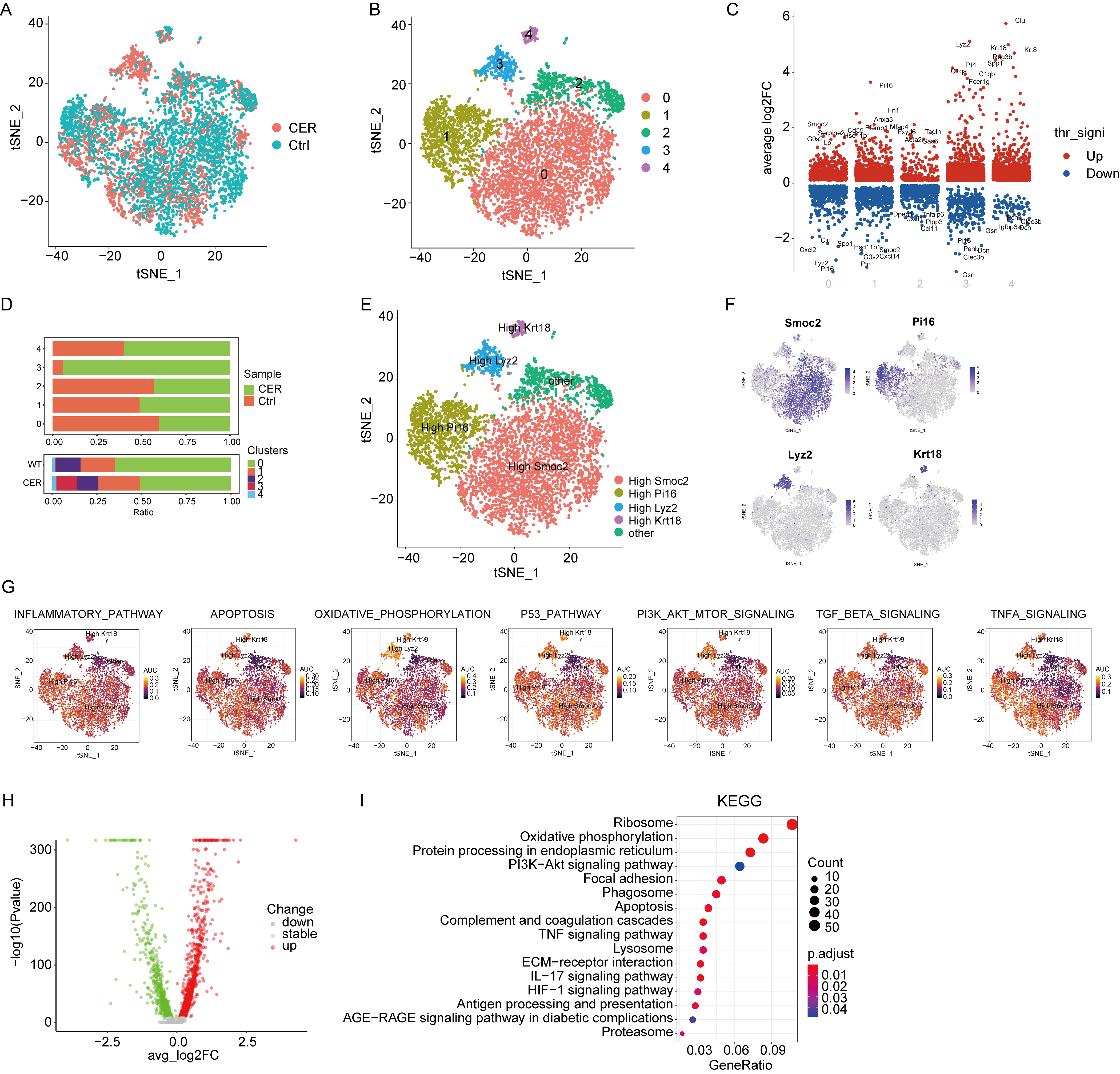 Biomolecules 13 00078 g006 Biomolecules 13 00078 g006