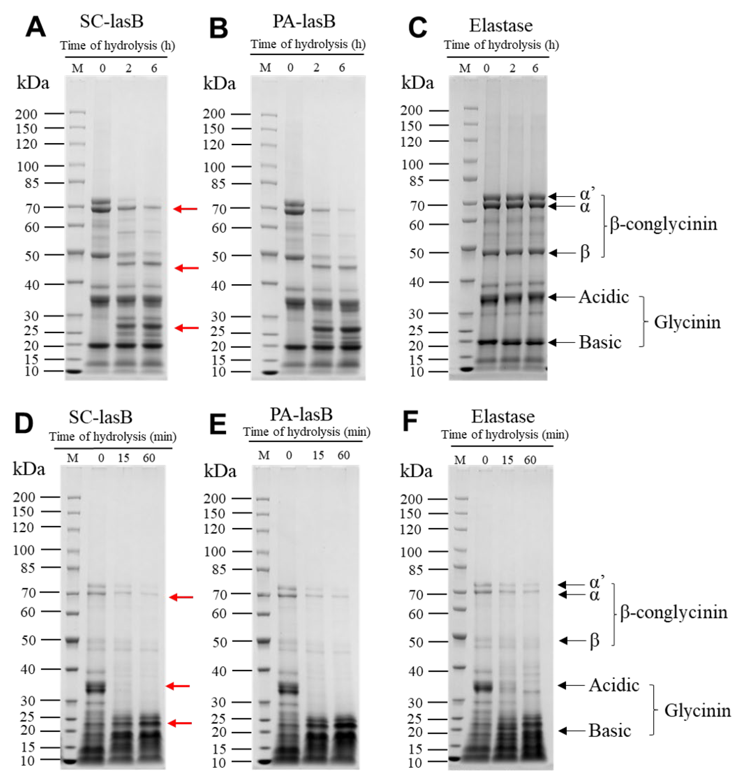 Biomolecules 13 00083 g006