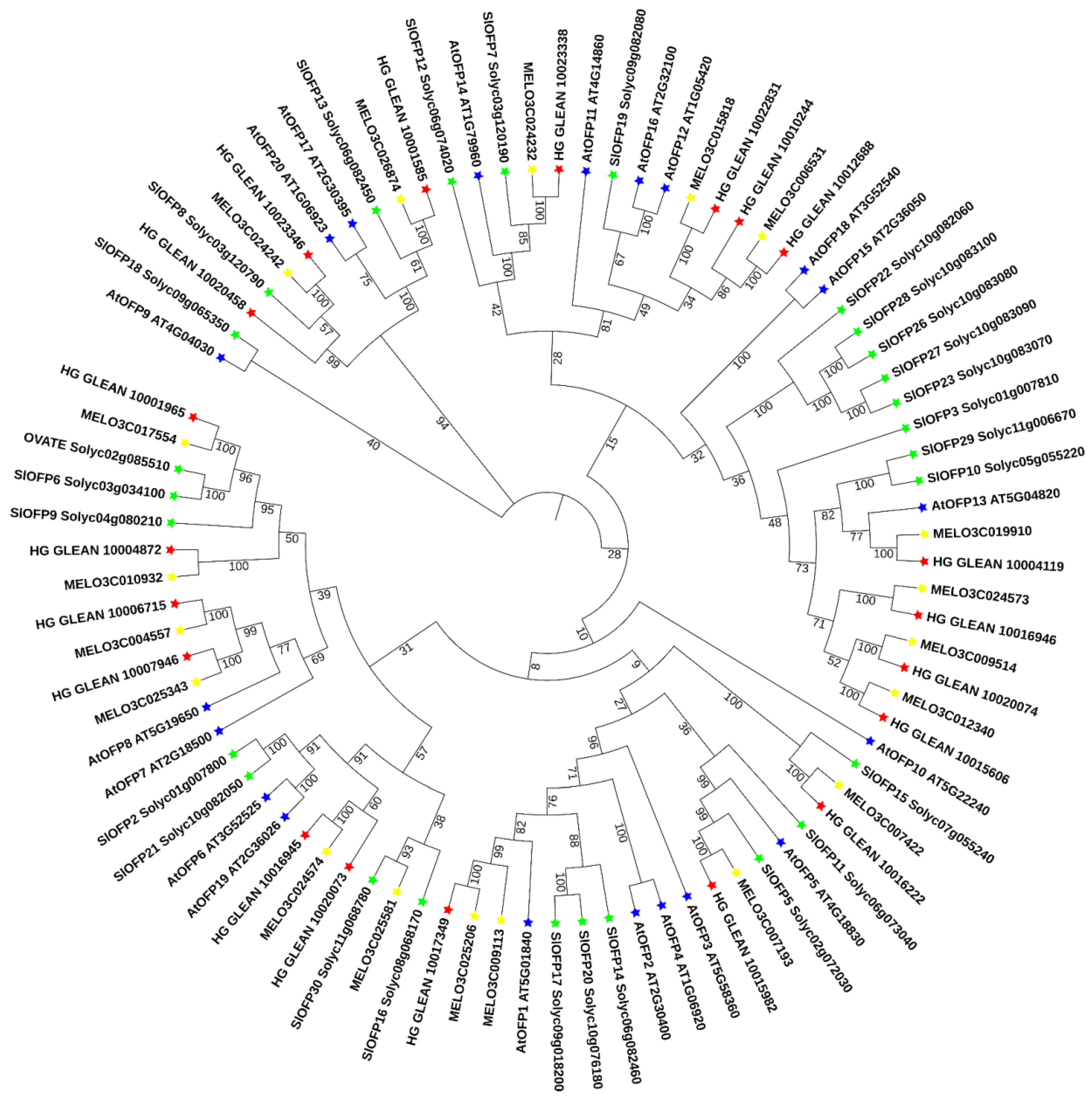 Biomolecules 13 00085 g001 Biomolecules 13 00085 g001