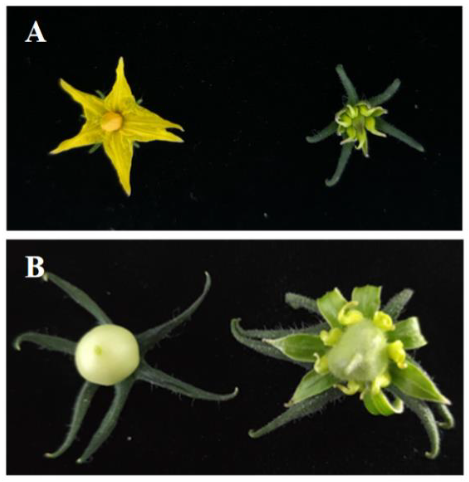 Biomolecules 13 00085 g008 Biomolecules 13 00085 g008