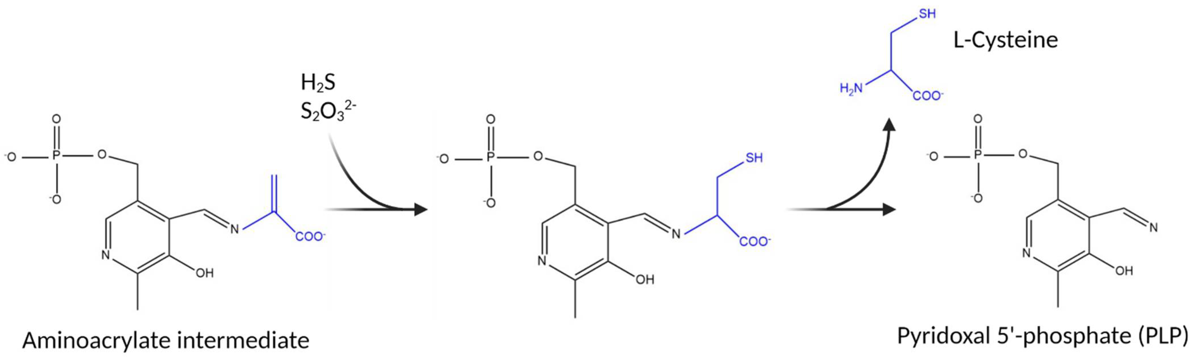 Biomolecules 13 00086 g002 Biomolecules 13 00086 g002