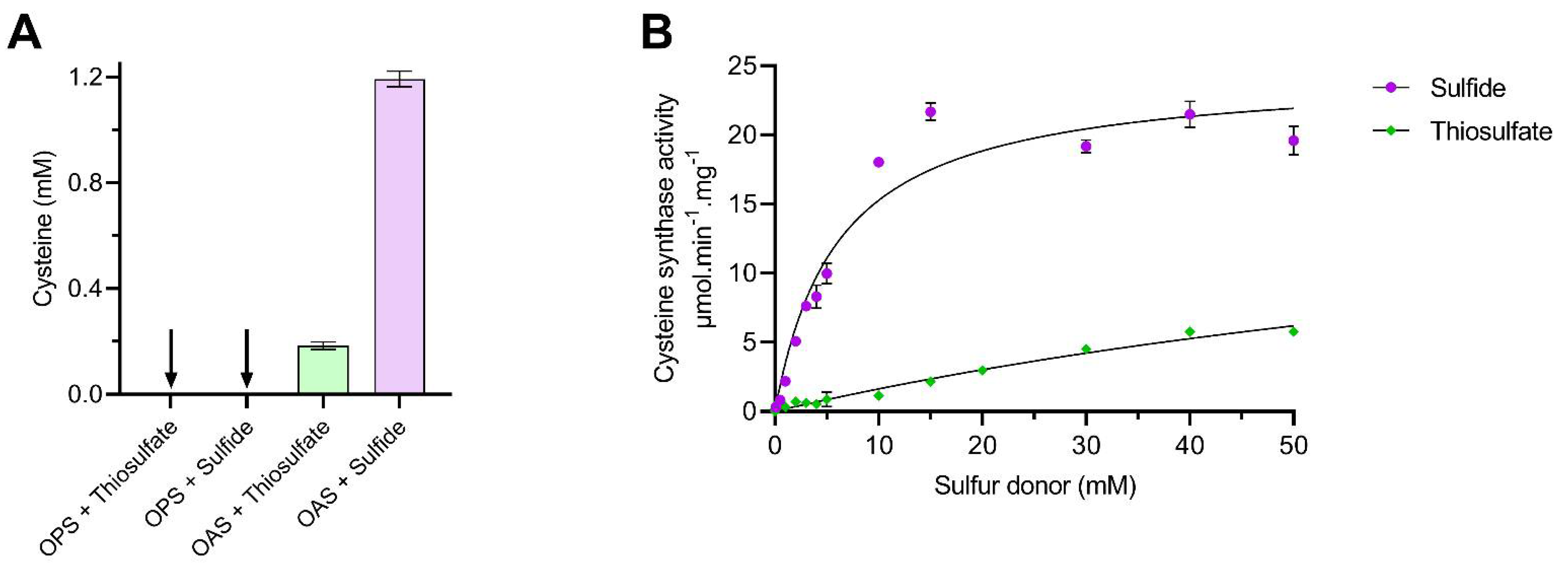 Biomolecules 13 00086 g004 Biomolecules 13 00086 g004