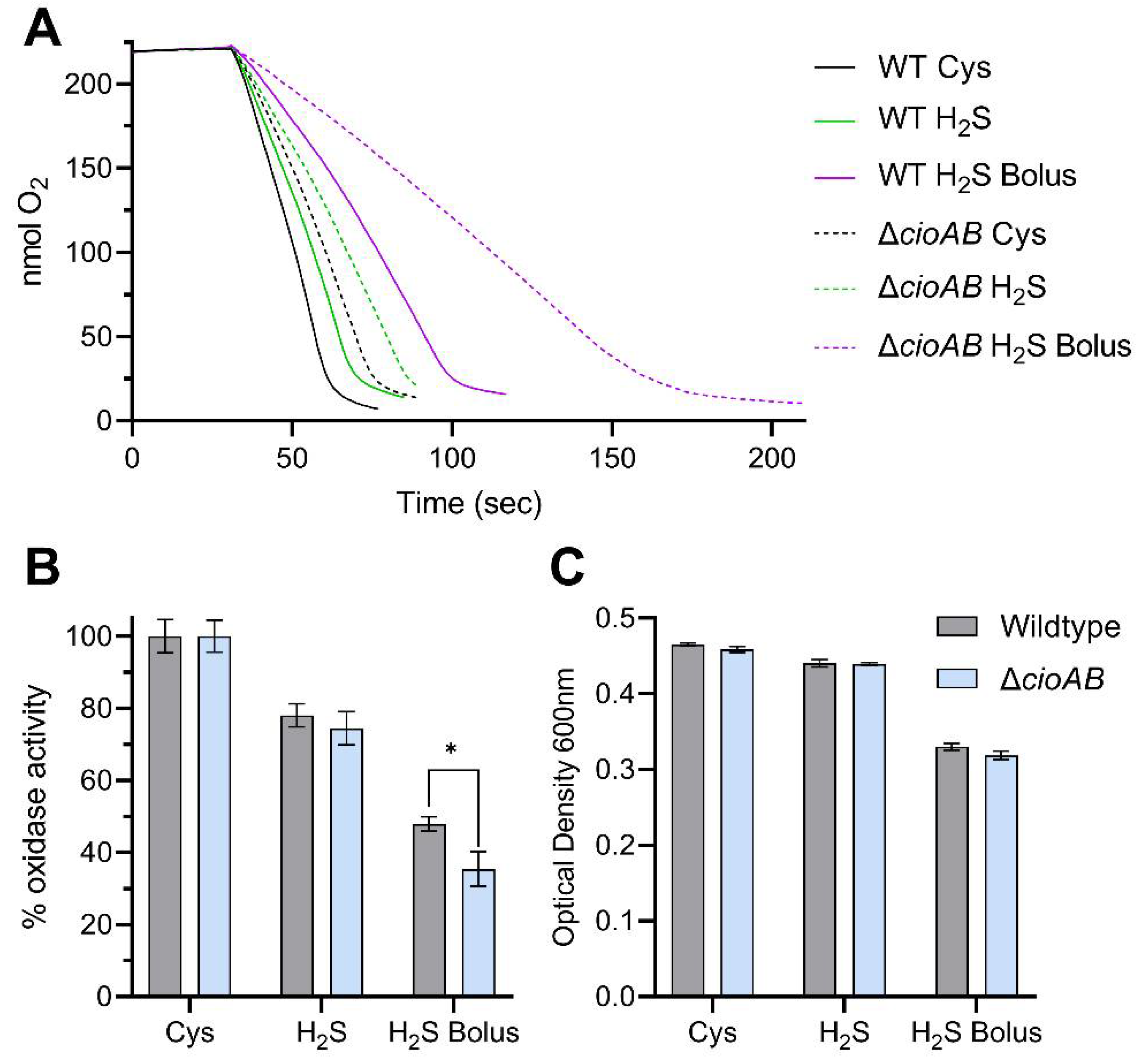 Biomolecules 13 00086 g007 Biomolecules 13 00086 g007