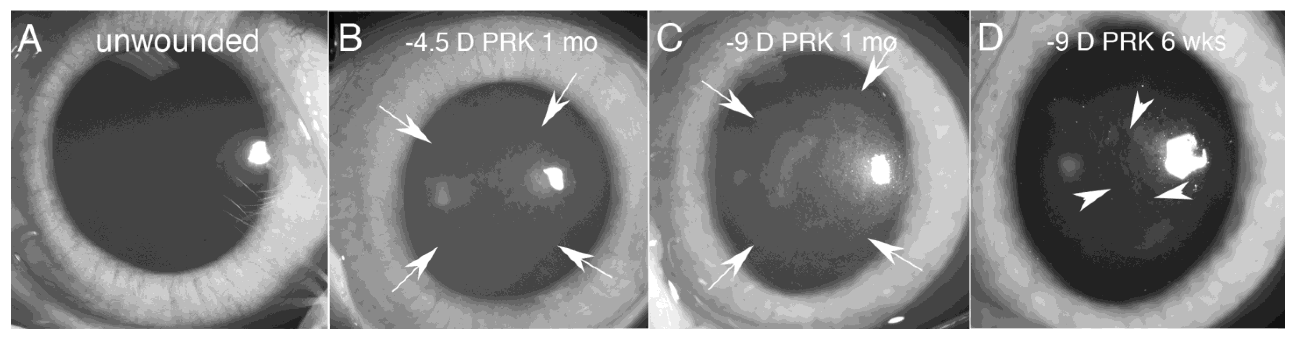 Biomolecules 13 00087 g001