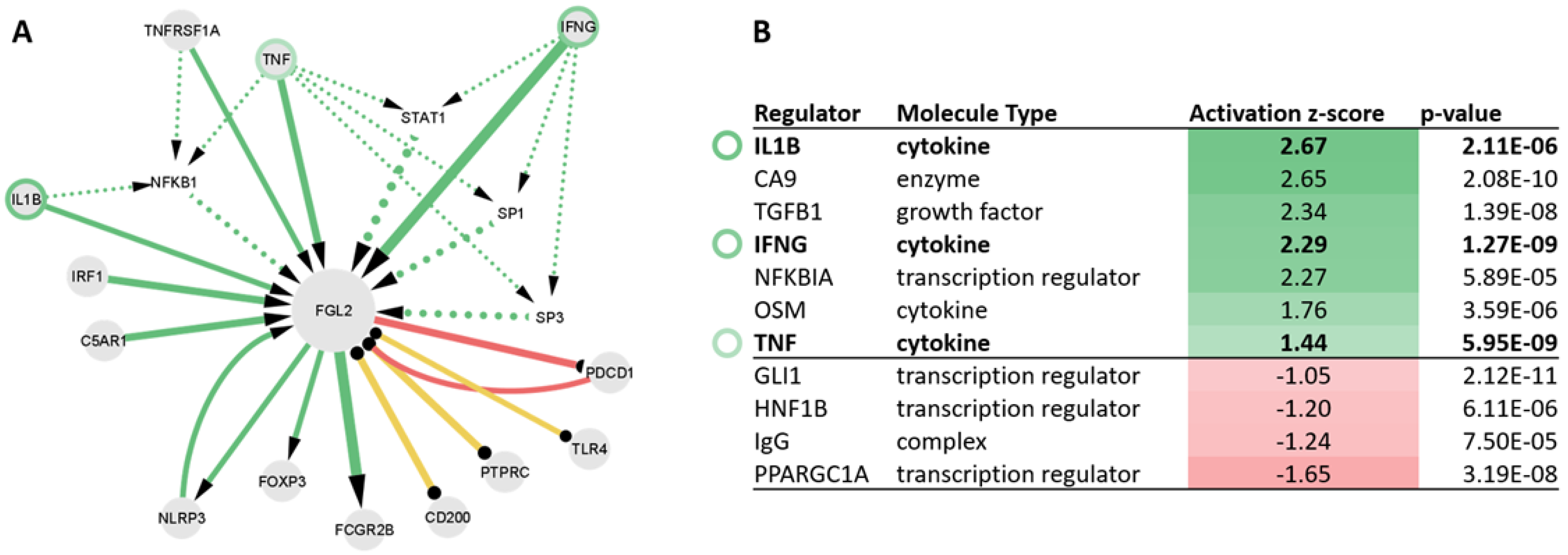 Biomolecules 13 00089 g004