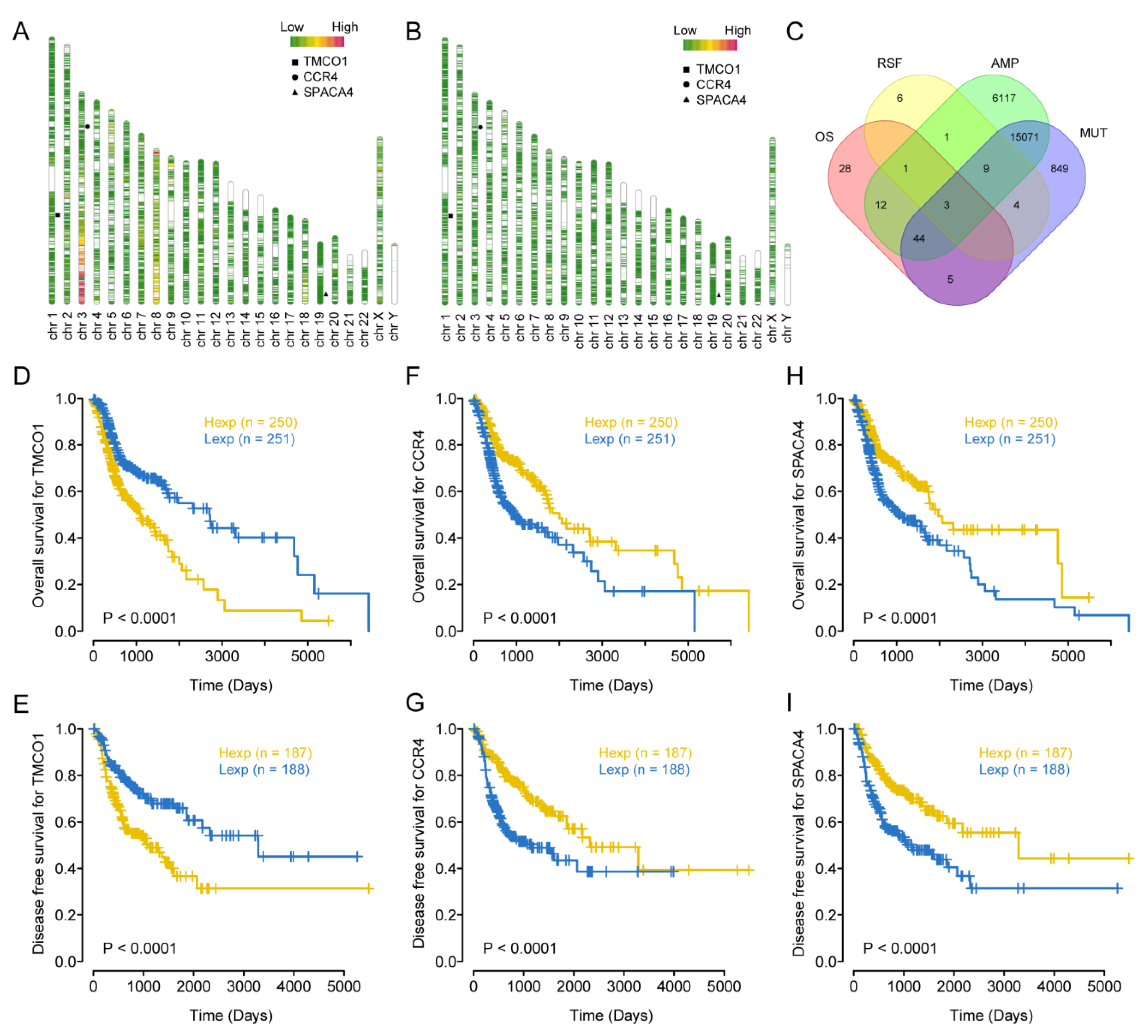 Screening of Tumor Antigens and Construction of Immune Screening of Tumor Antigens and Construction of Immune