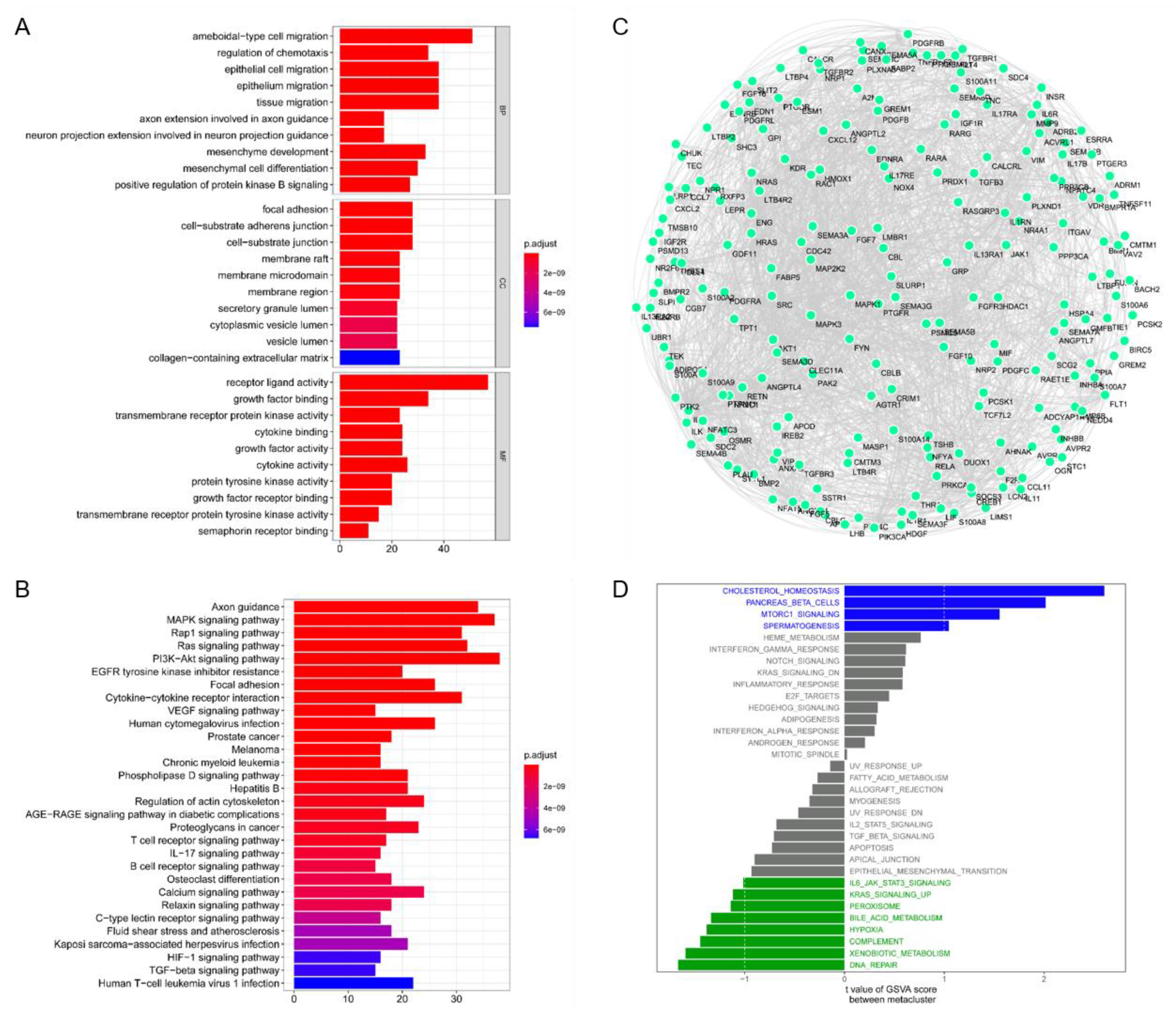 Biomolecules 13 00090 g009 Biomolecules 13 00090 g009