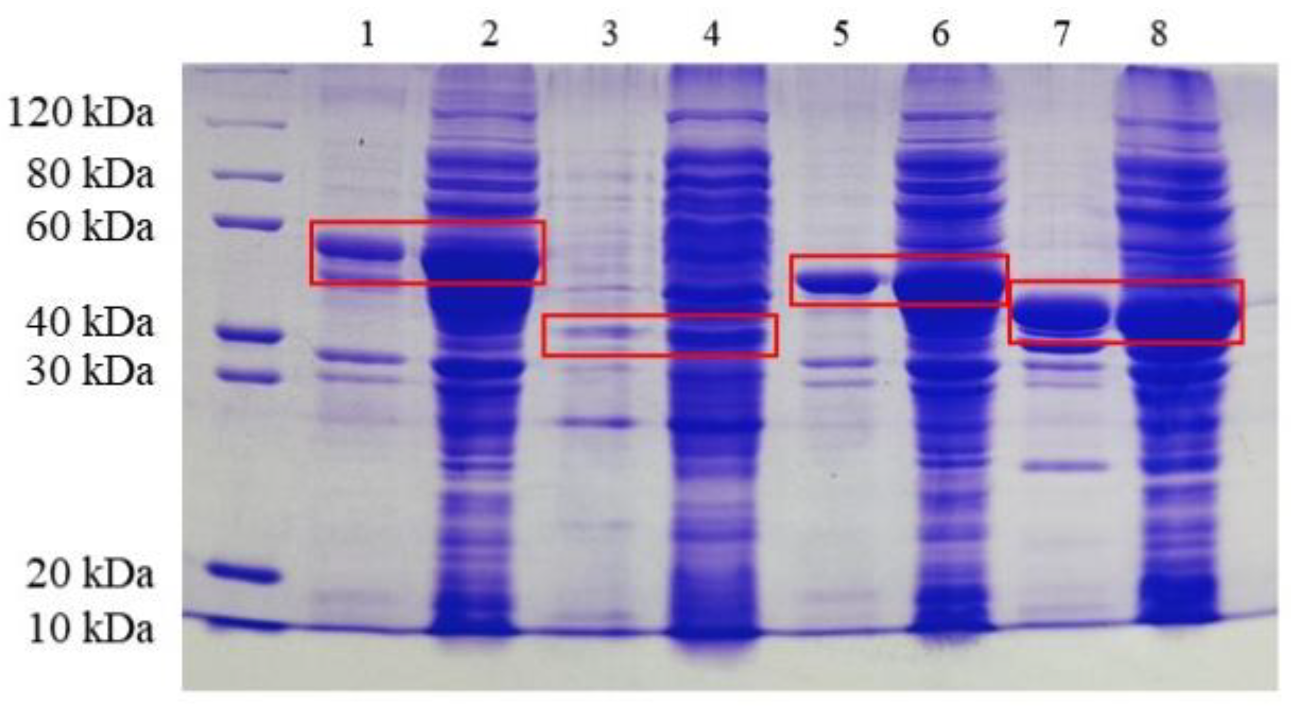 Biomolecules 13 00091 g006