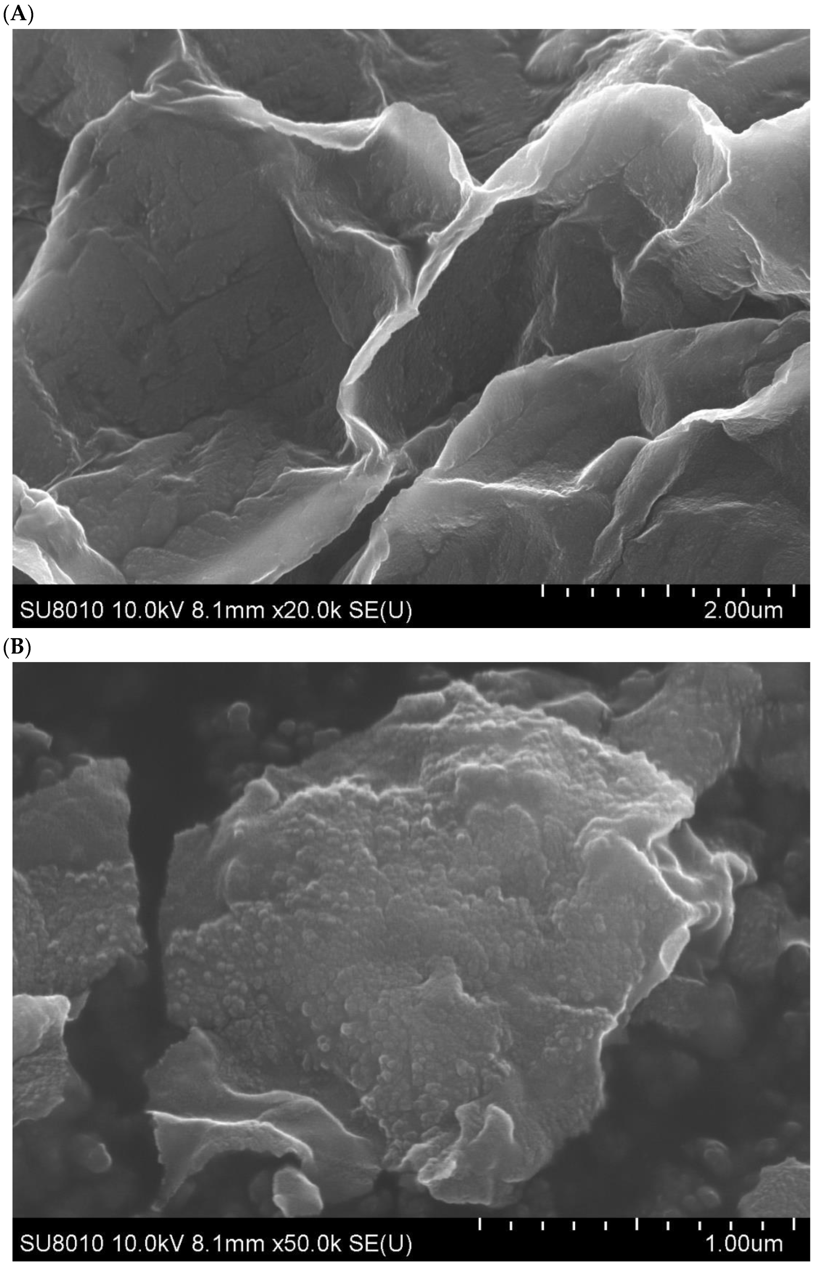 Biomolecules 13 00091 g015