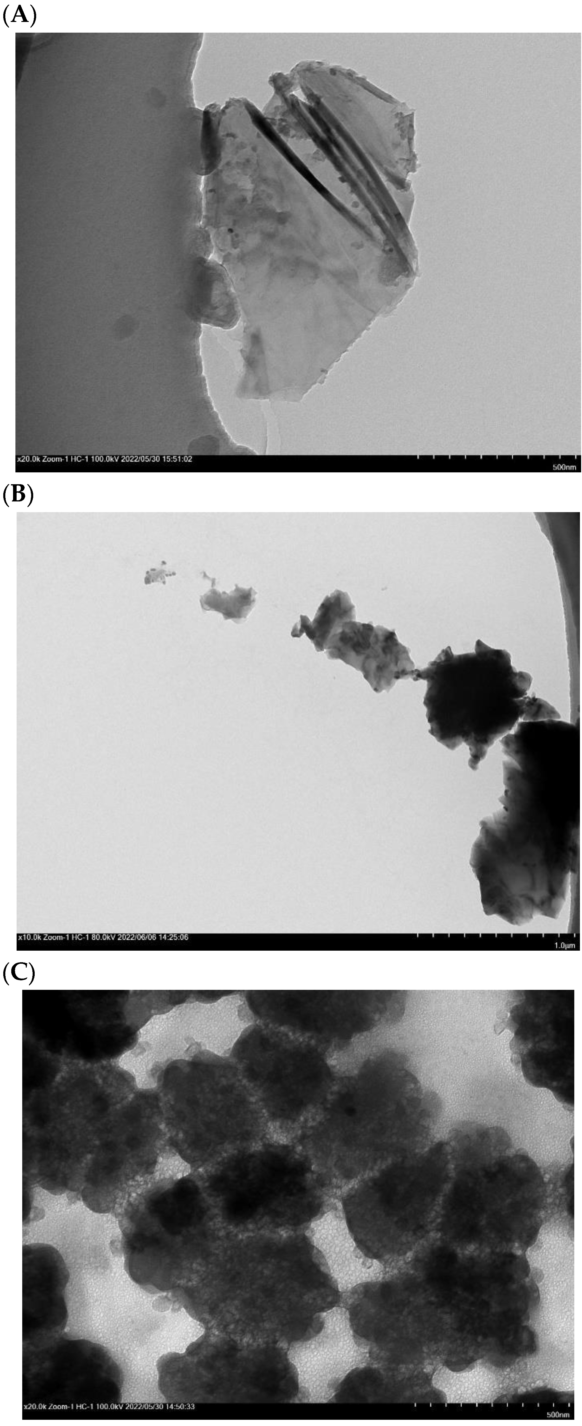 Biomolecules 13 00091 g016