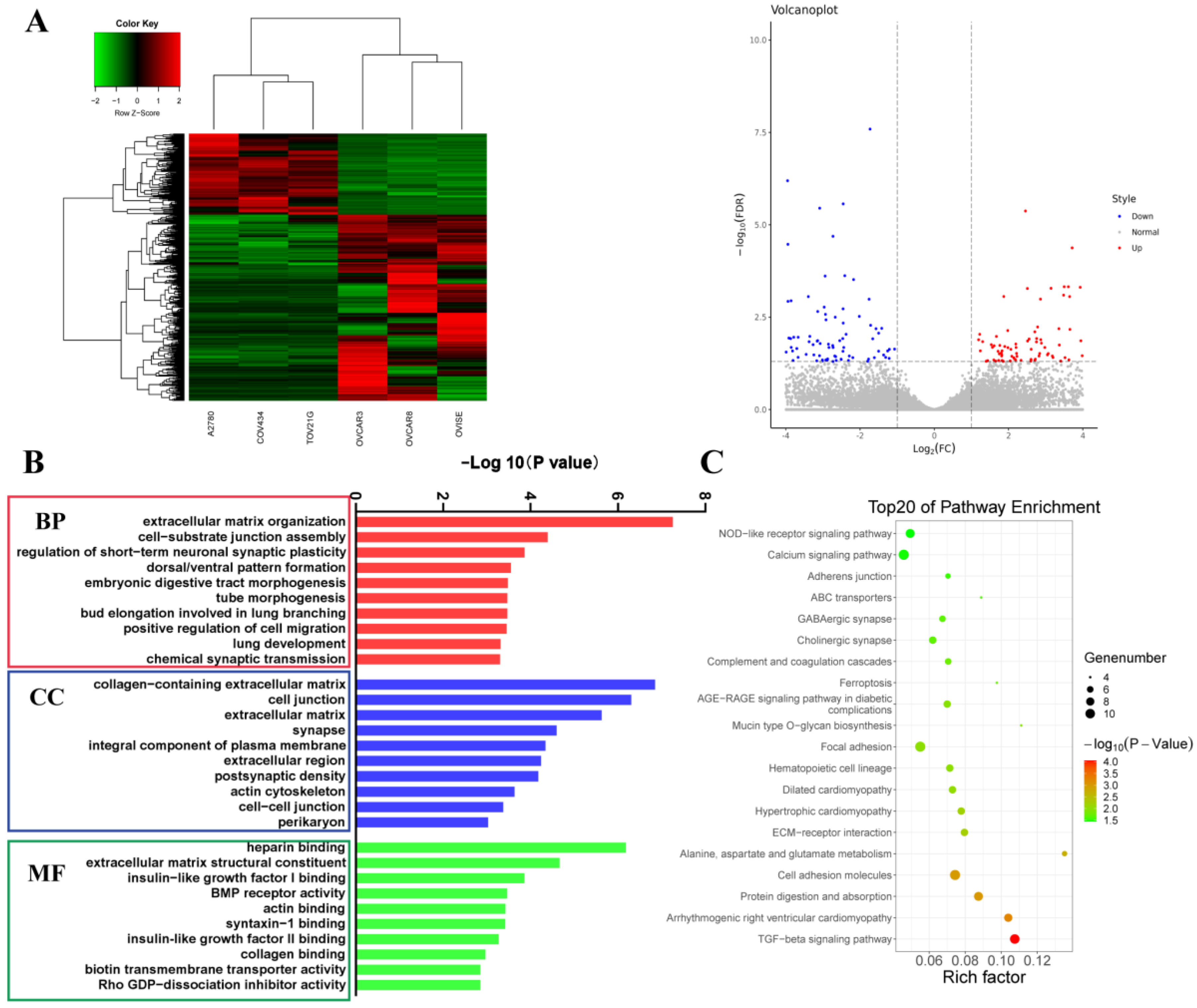 Biomolecules 13 00092 g003