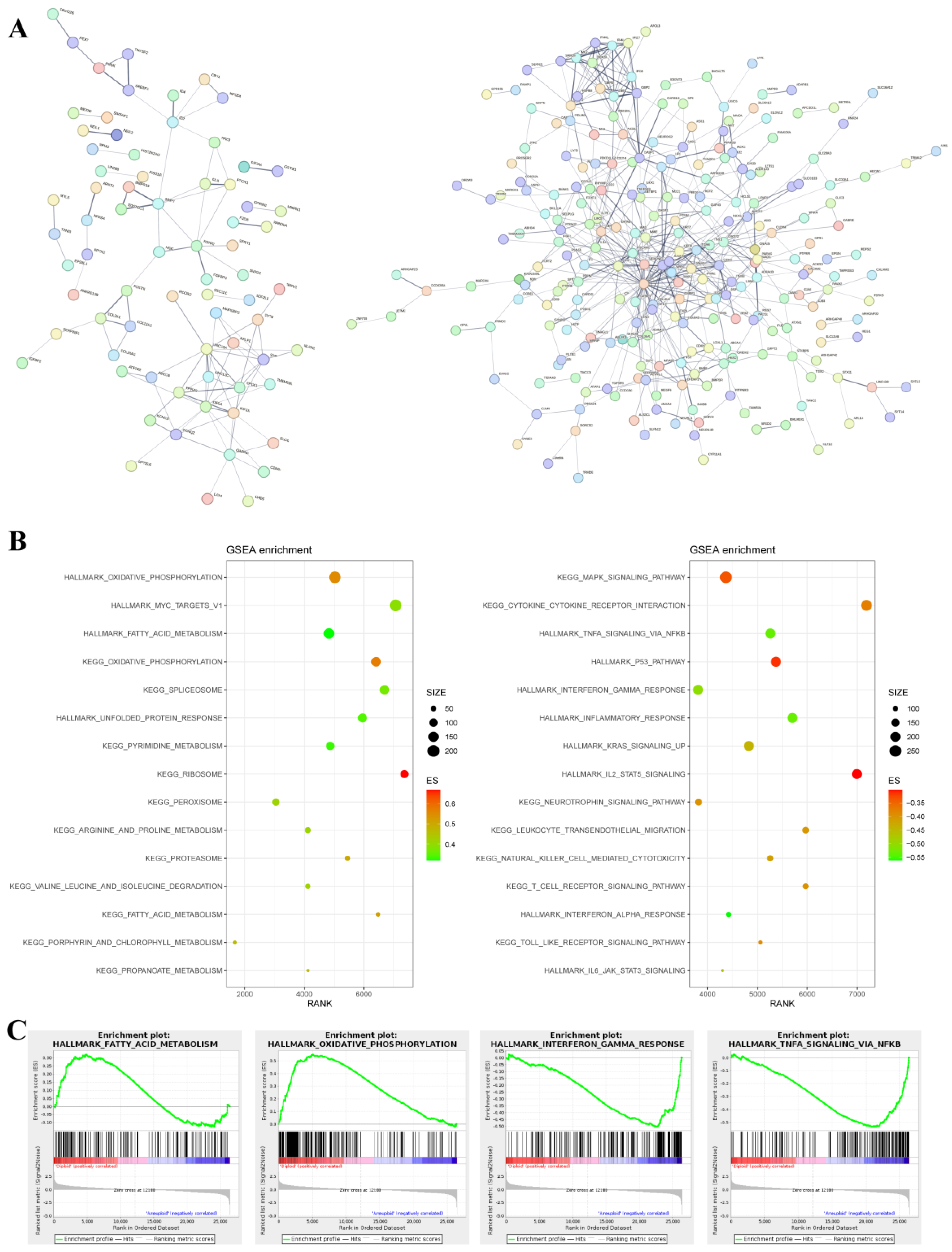 Biomolecules 13 00092 g004