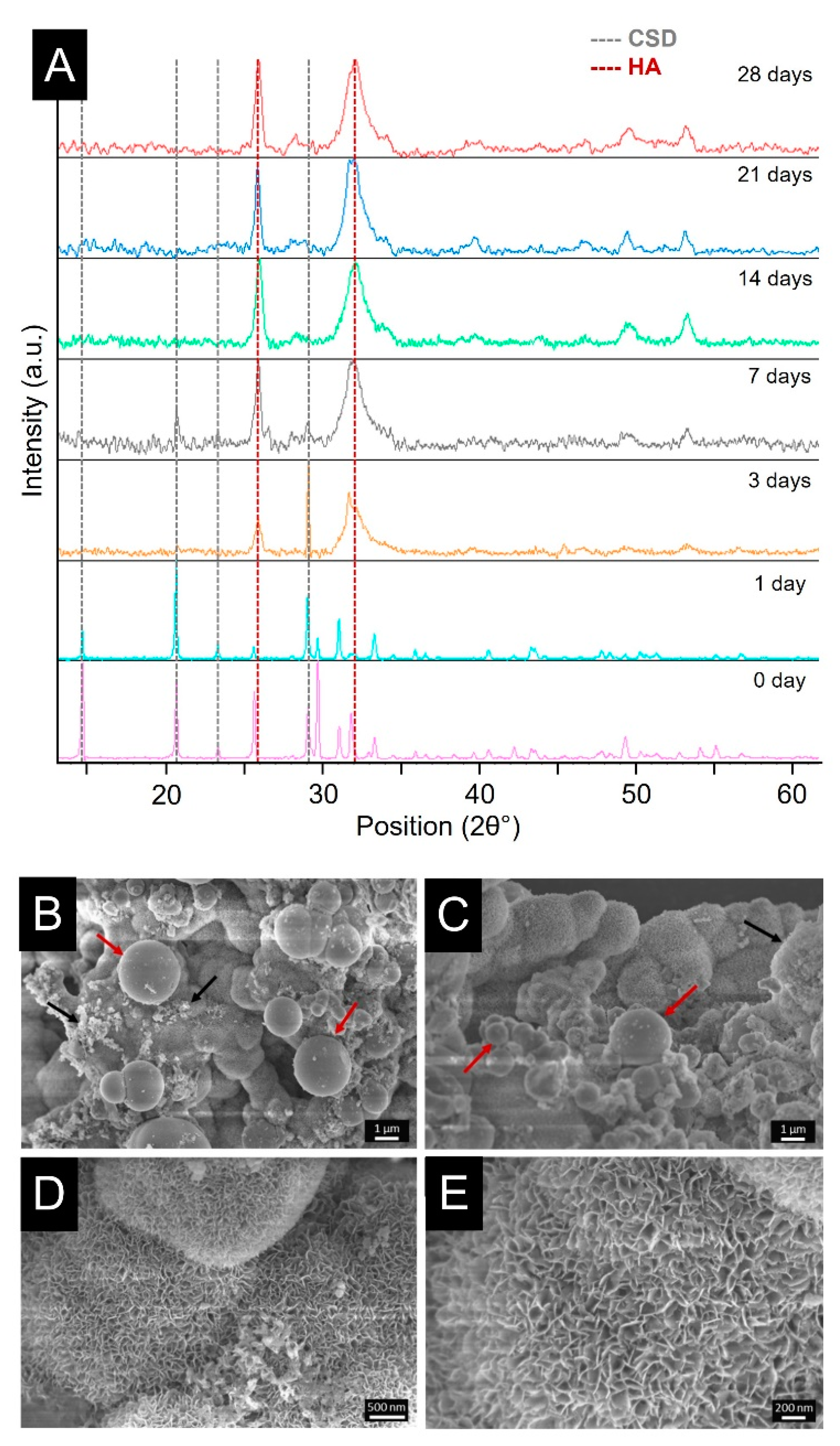 Biomolecules 13 00094 g006