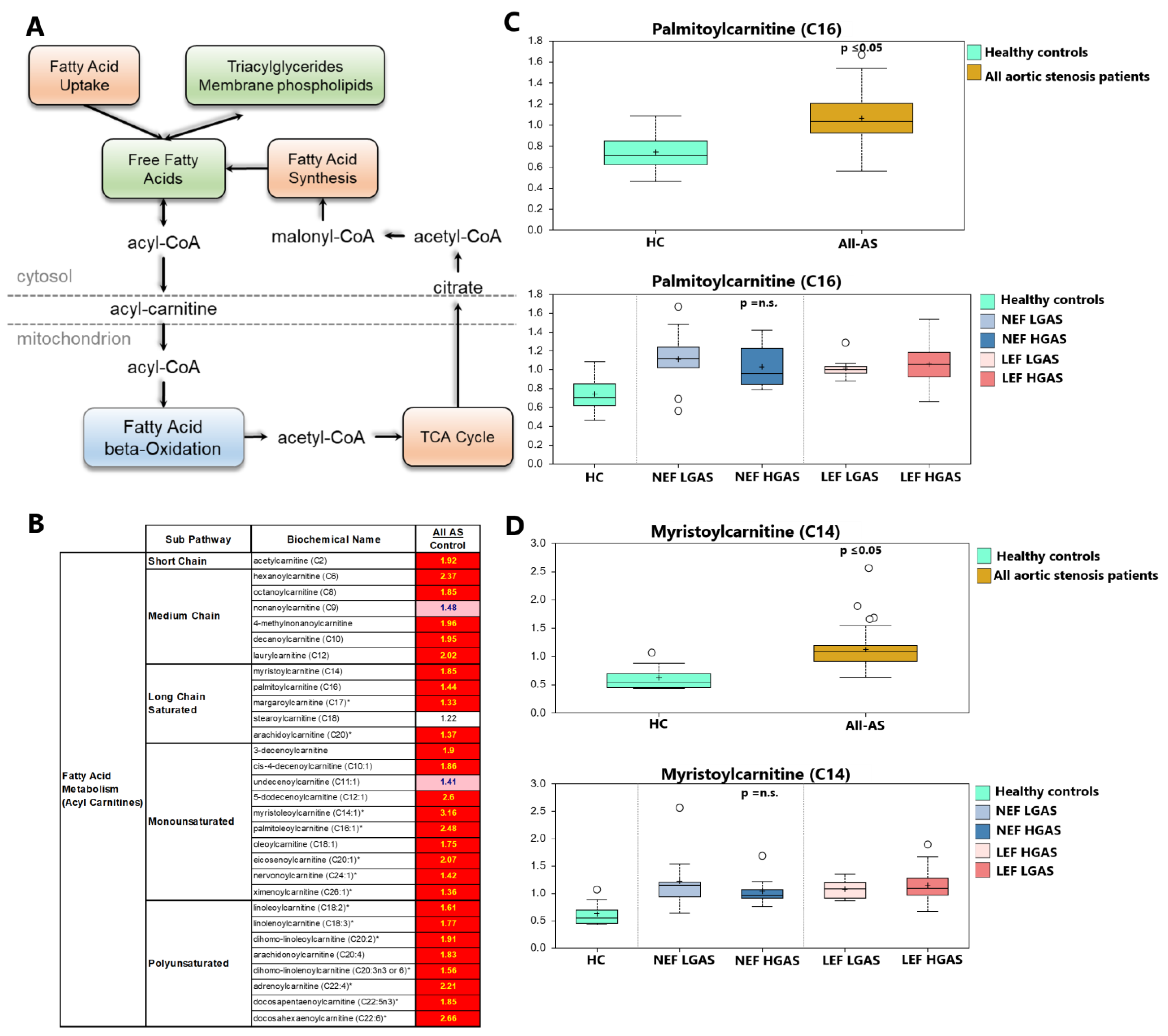 Biomolecules 13 00095 g003