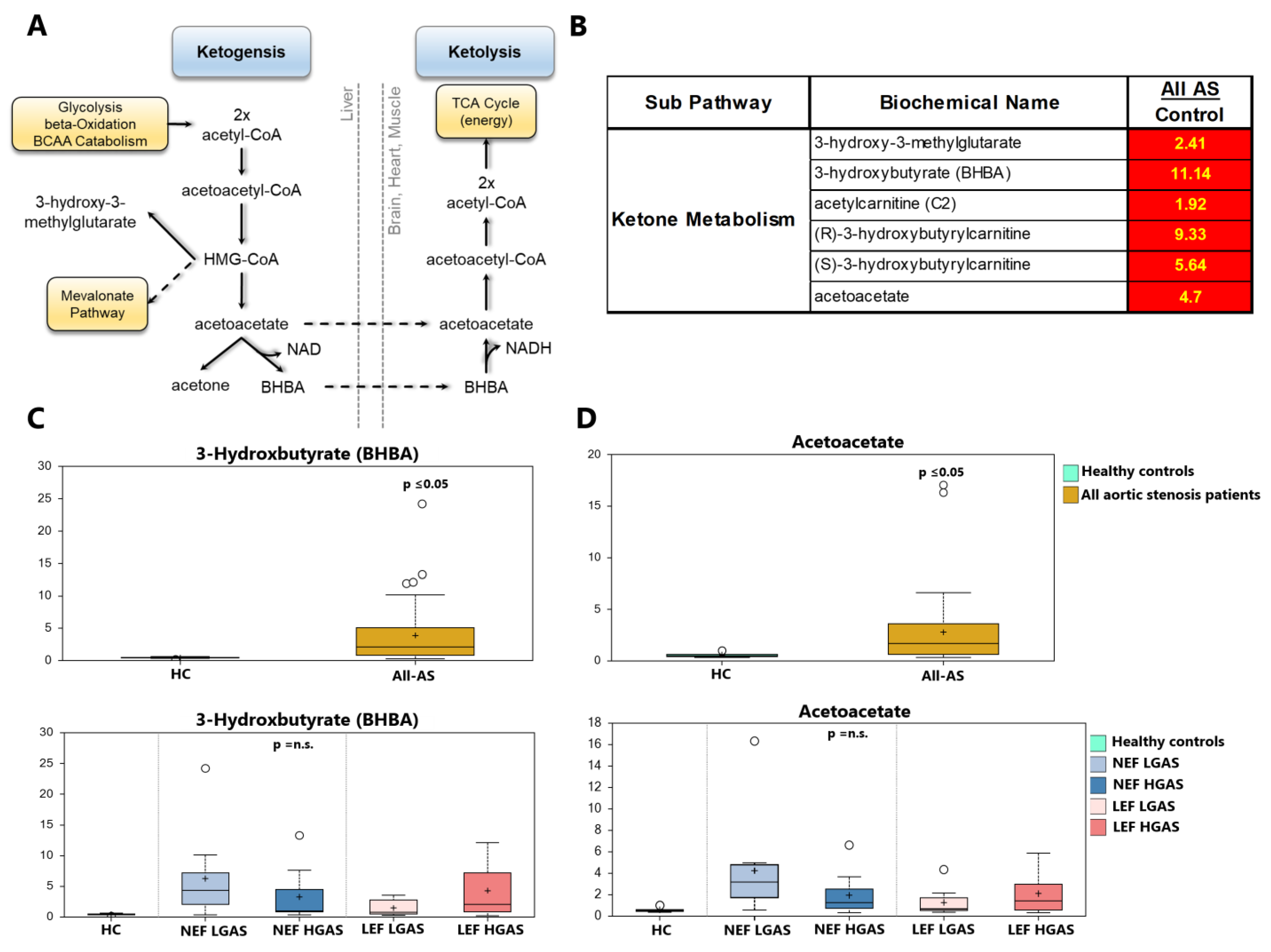 Biomolecules 13 00095 g004