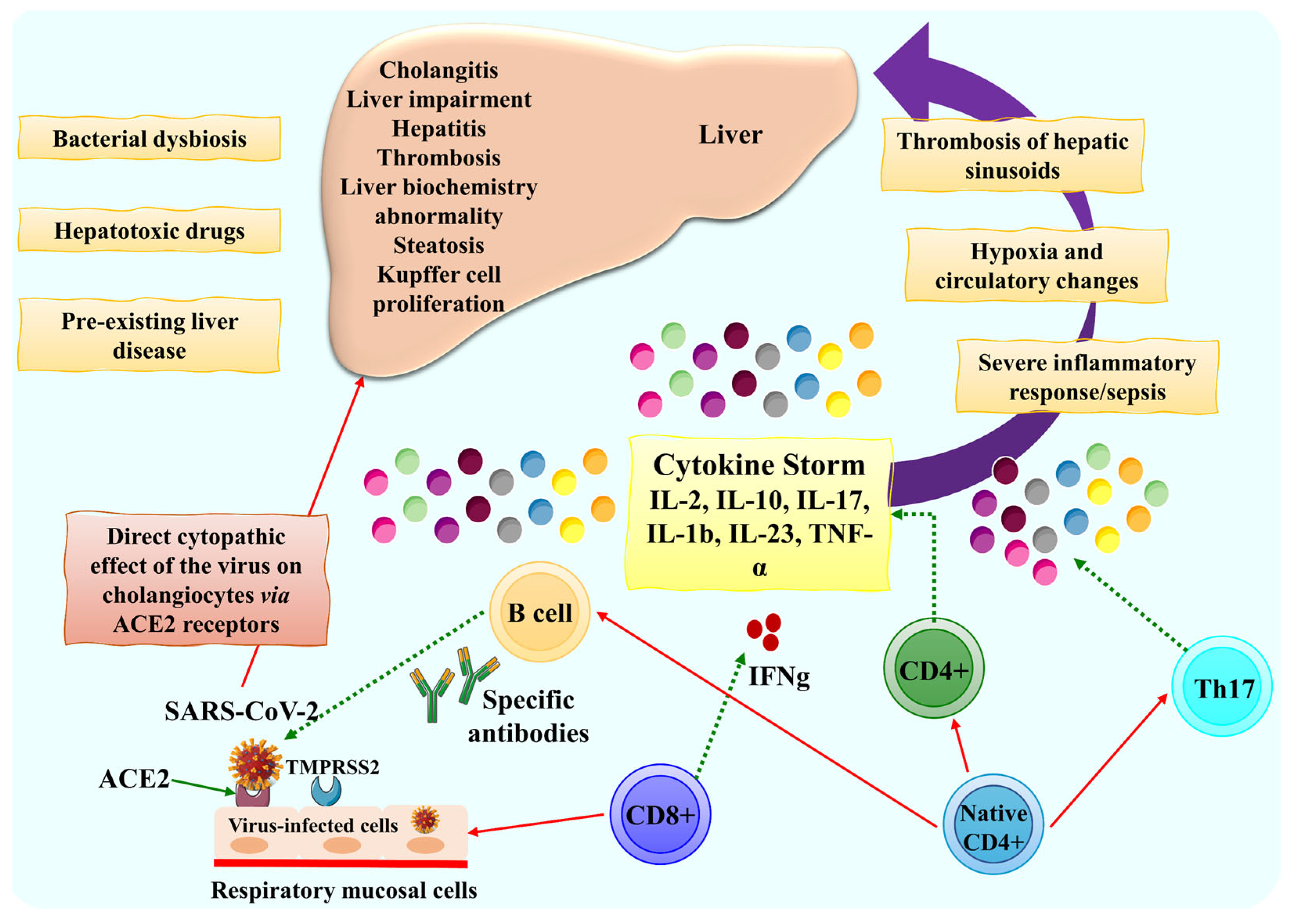 Biomolecules 13 00099 g003 Biomolecules 13 00099 g003