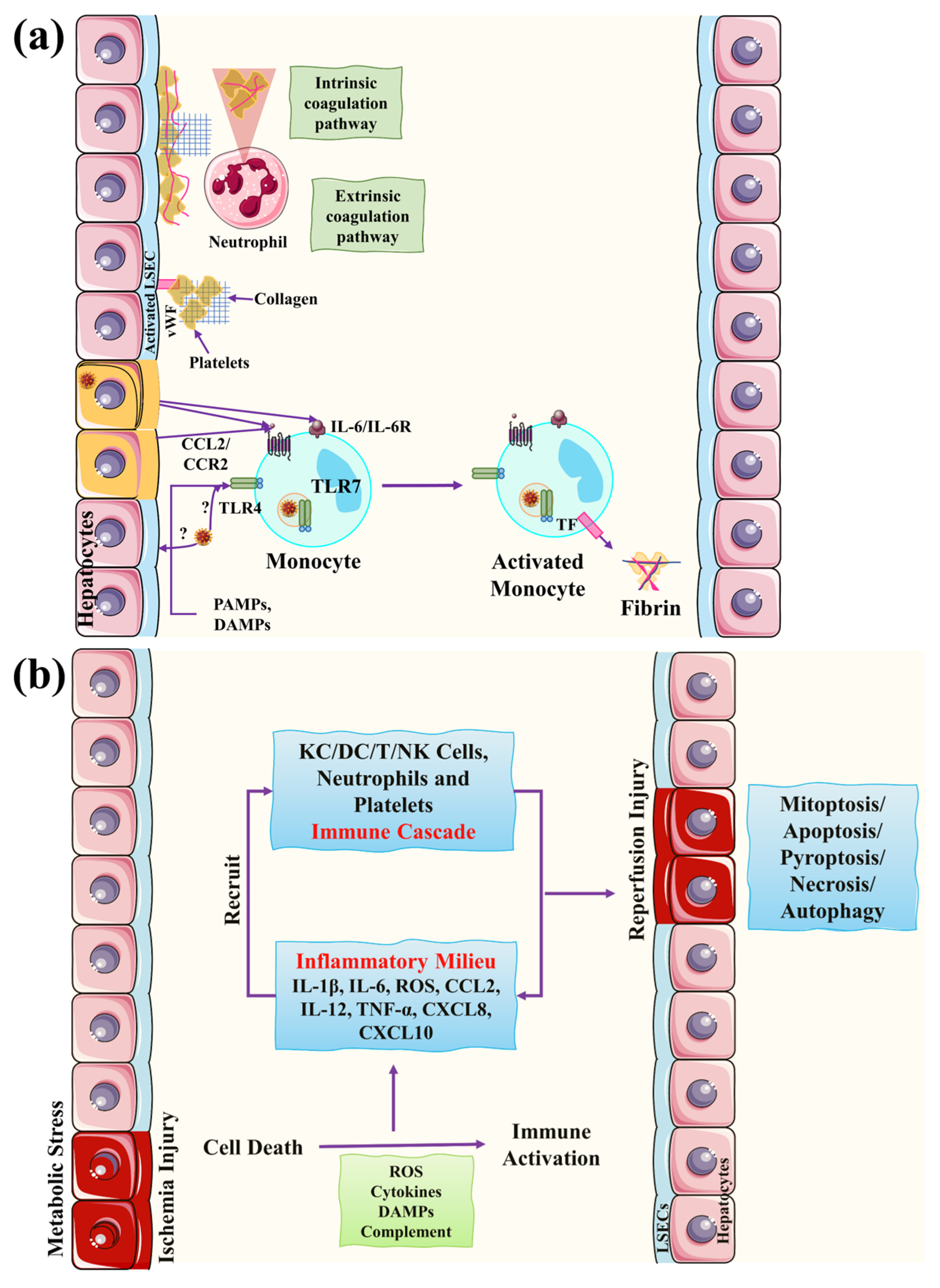 Biomolecules 13 00099 g004 Biomolecules 13 00099 g004