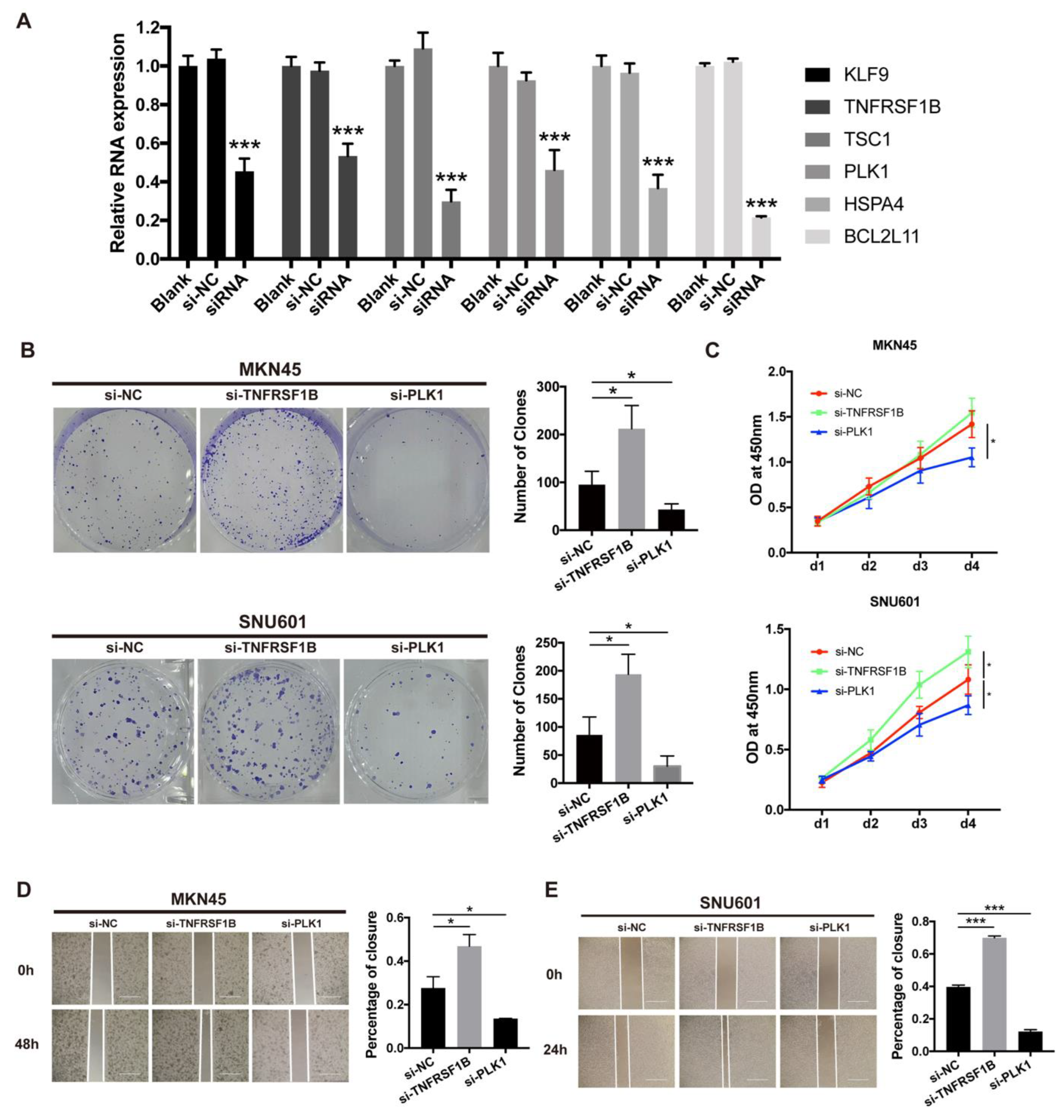 Biomolecules 13 00101 g009