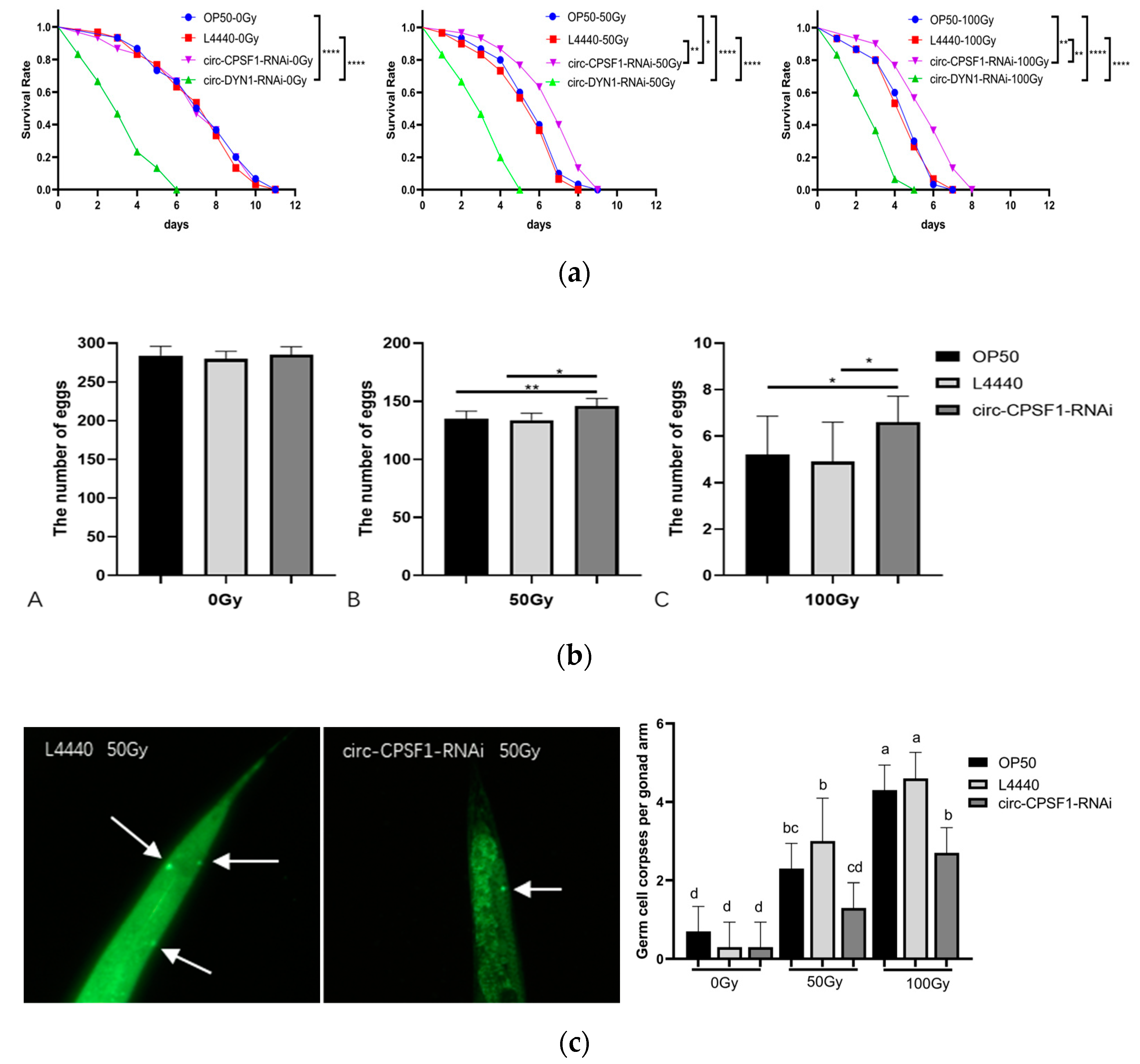 Biomolecules 13 00102 g003 Biomolecules 13 00102 g003