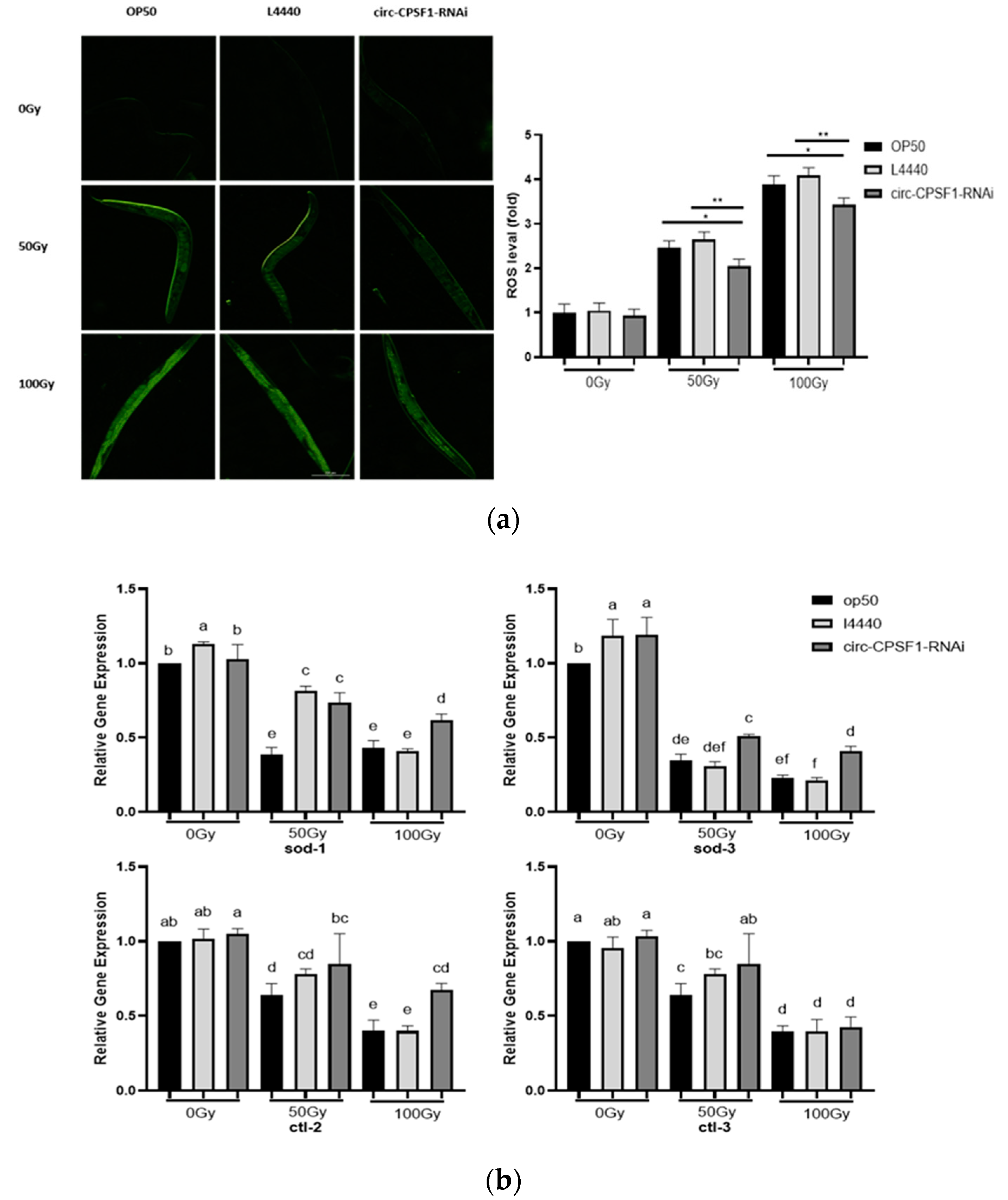Biomolecules 13 00102 g004 Biomolecules 13 00102 g004