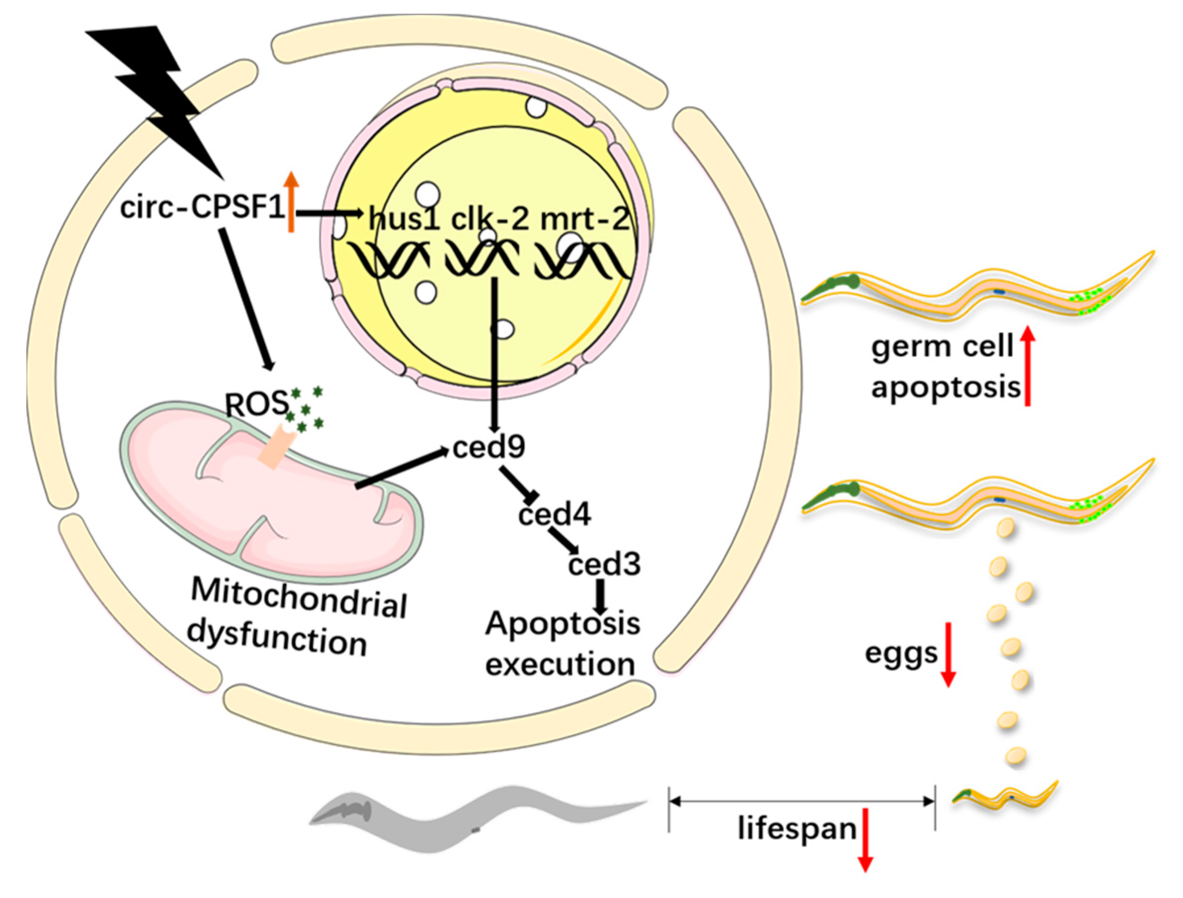 Biomolecules 13 00102 g007 Biomolecules 13 00102 g007