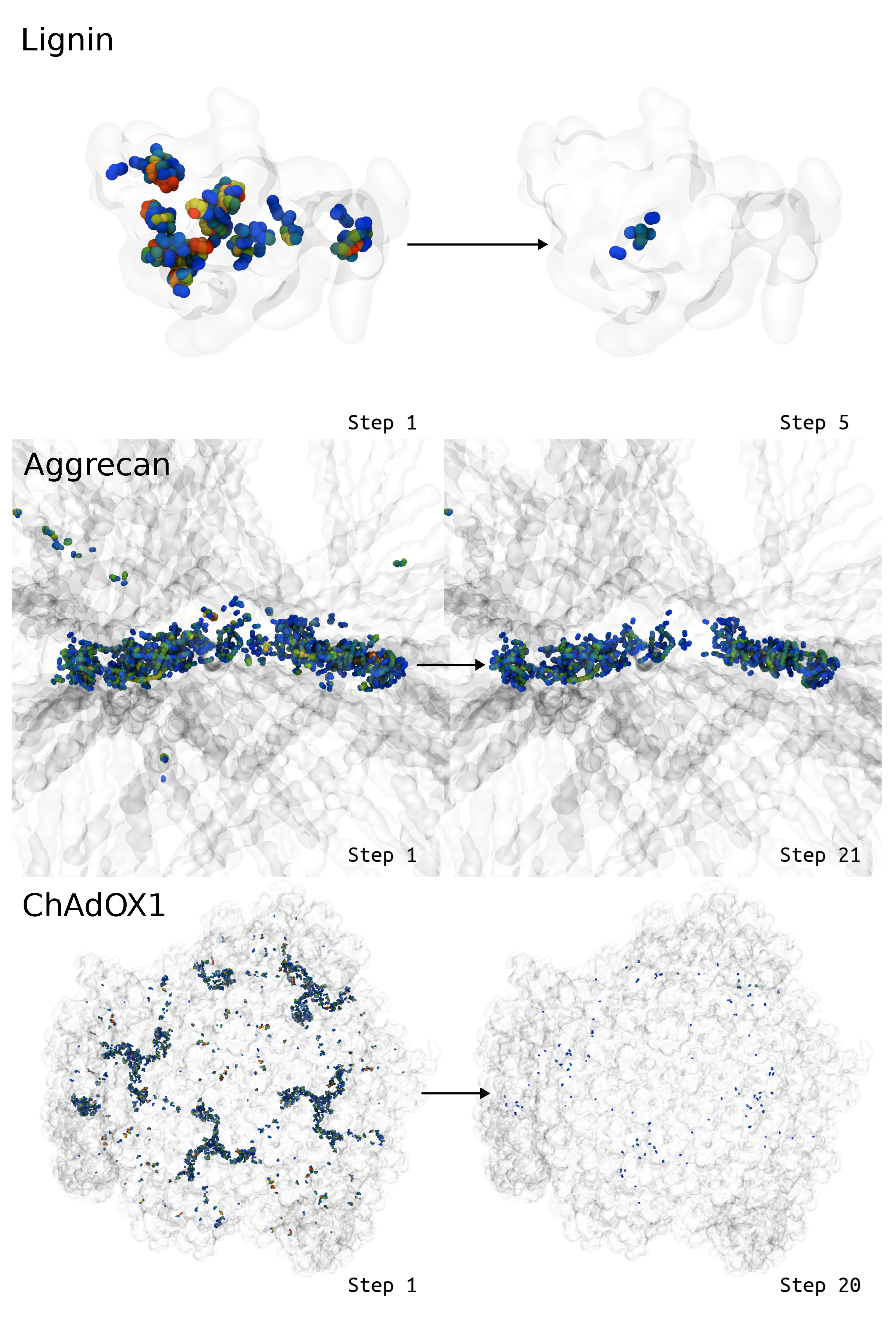 Biomolecules 13 00107 g008 Biomolecules 13 00107 g008