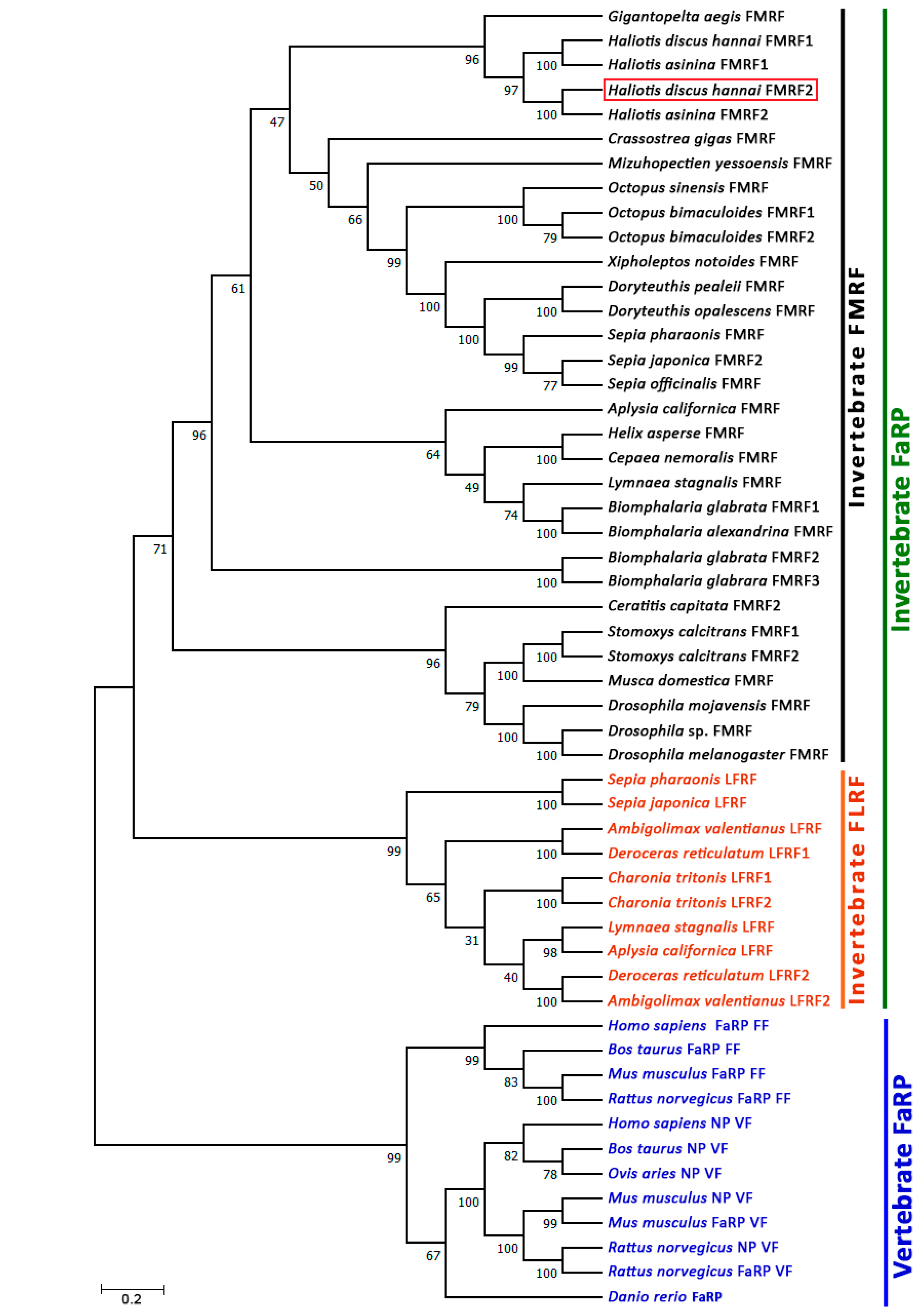 Biomolecules 13 00109 g005 Biomolecules 13 00109 g005