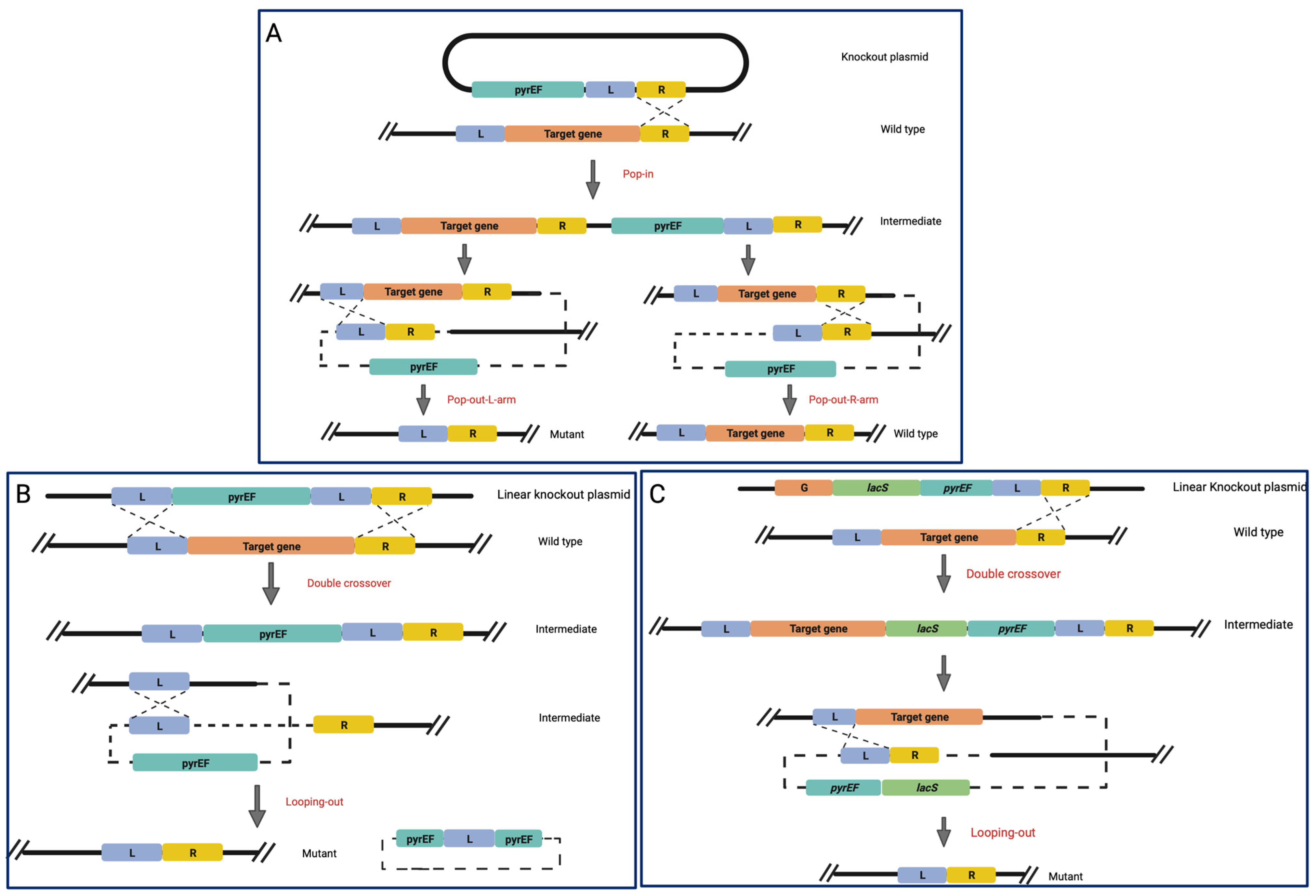 Biomolecules 13 00114 g001