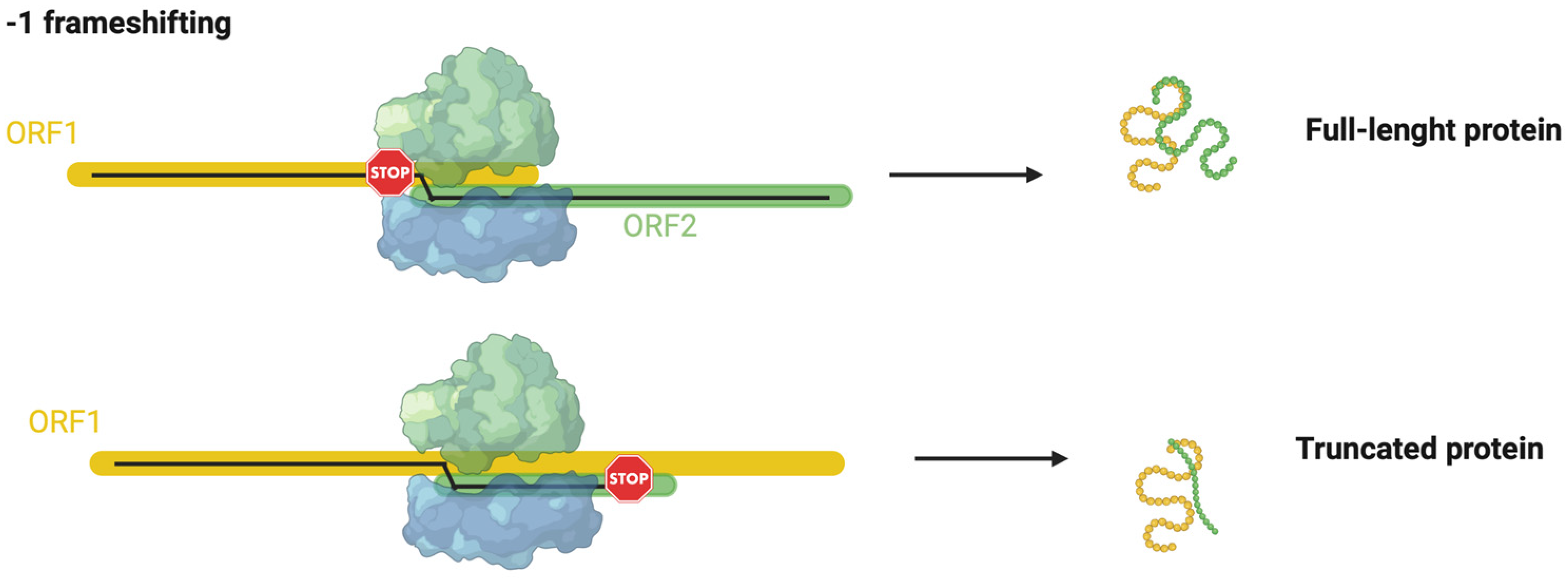 Biomolecules Free FullText Archaea as a Model System for Molecular